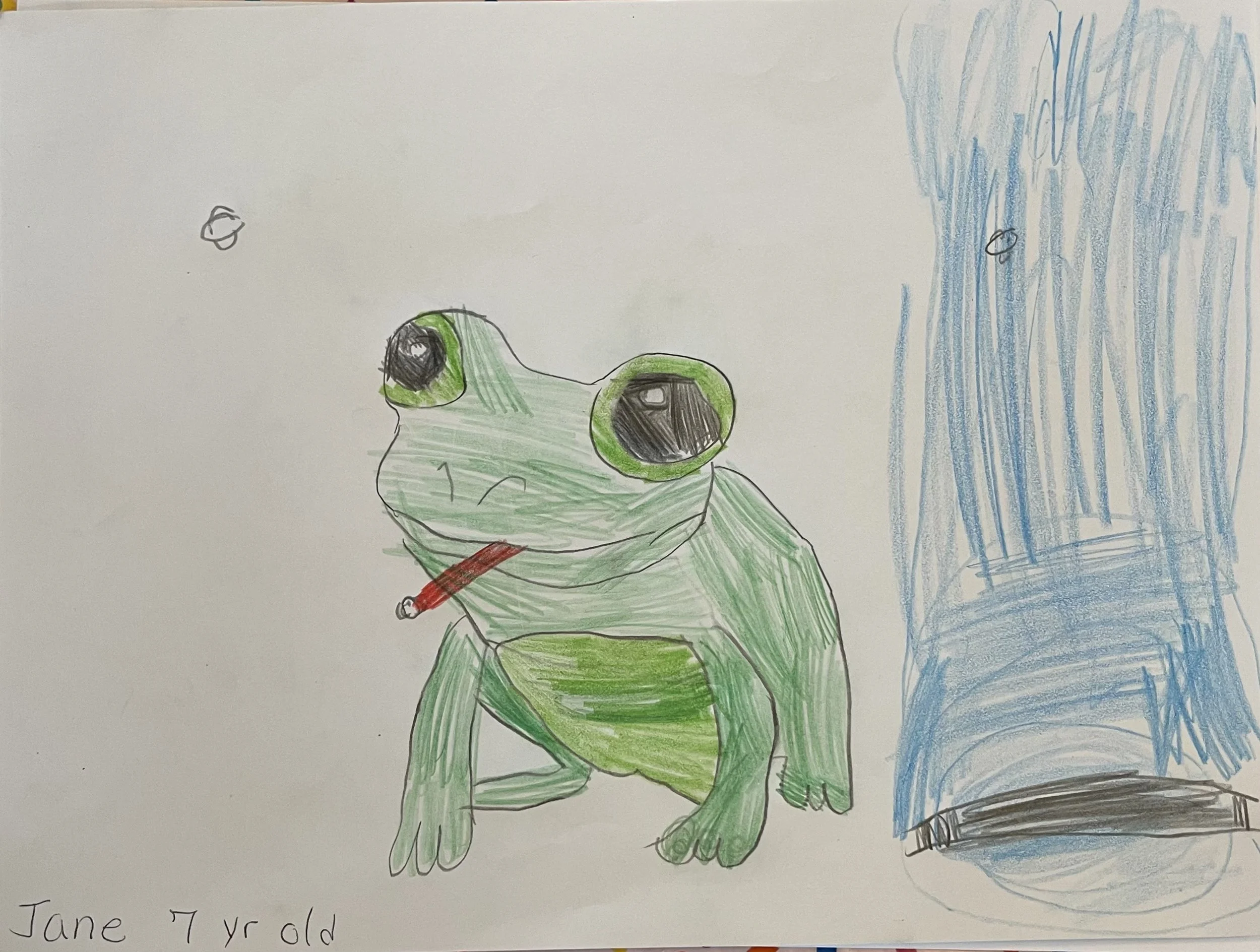   Jane  (7 years old)   Untitled , 2026  Colored pencil 