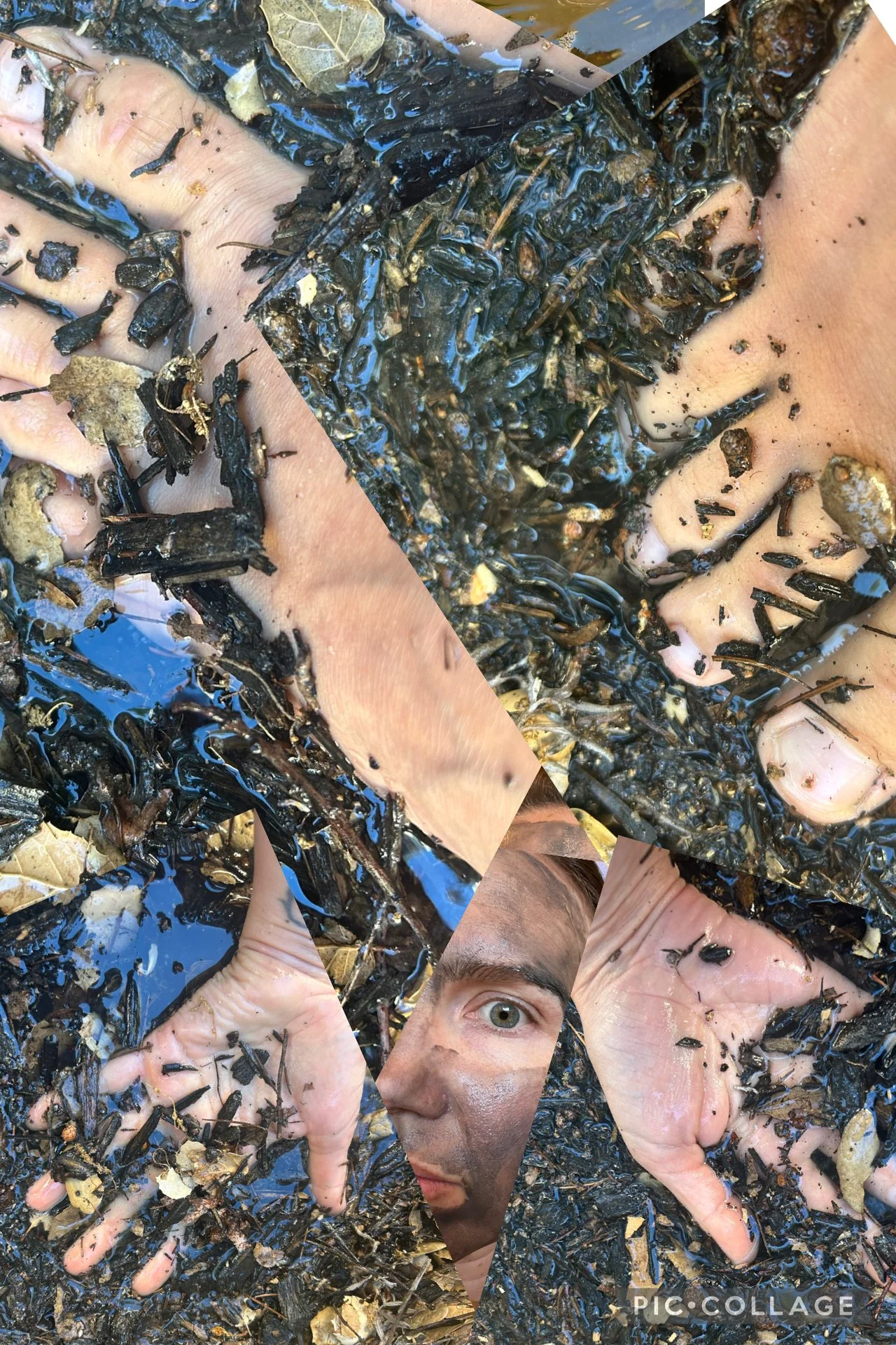   Maya Smolarek    Homage to Salamander , 2026  iPhone photos, collage app   Description:  This is an homage to salamanders- I grew up enjoying seeing them in the mud and what better homage than being in mud myself 