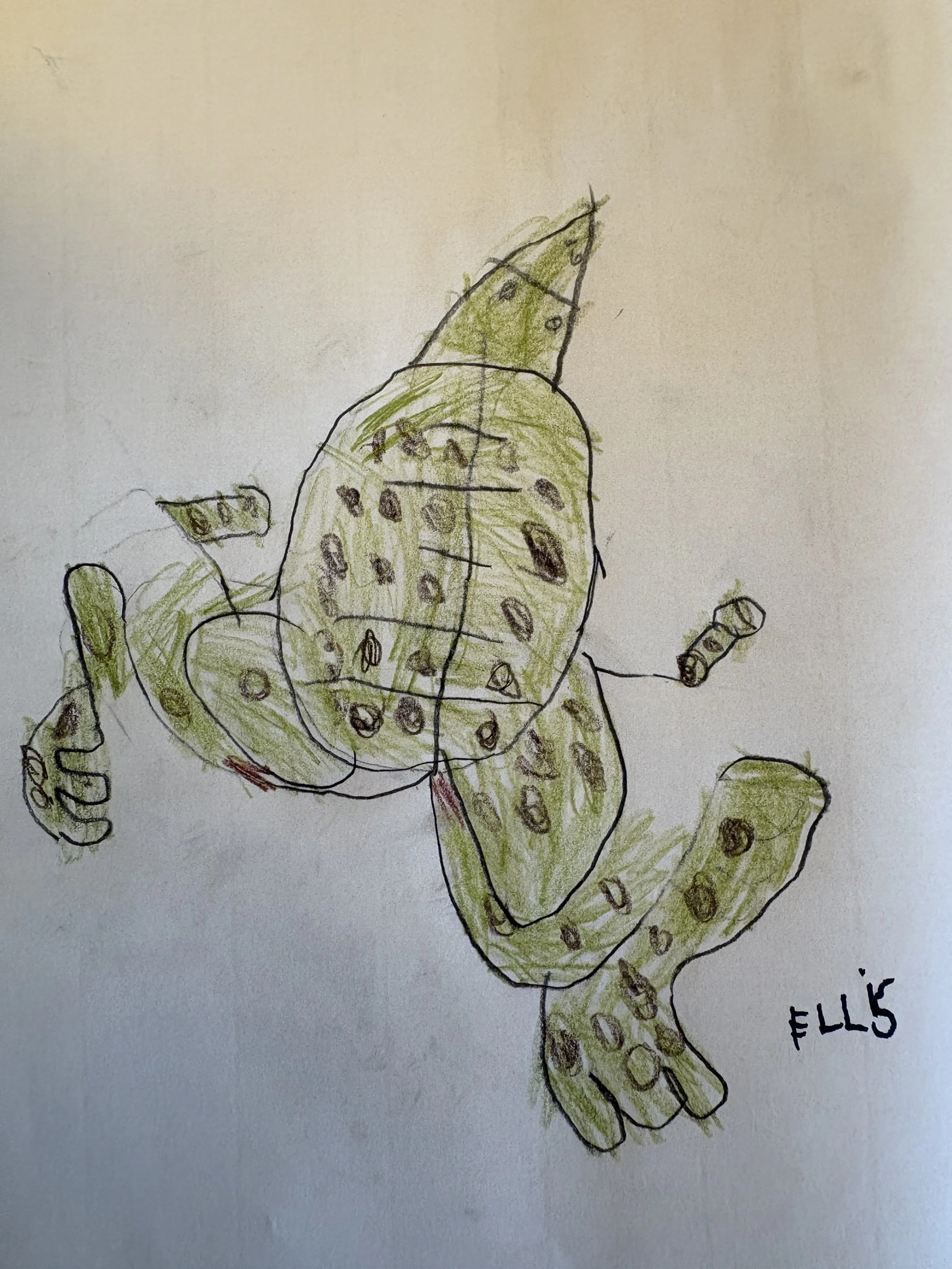   Ellis  (5 years old)   Froggy , 2026  Paper and colored pencil   Description:  This is a green frog with brown spots. 
