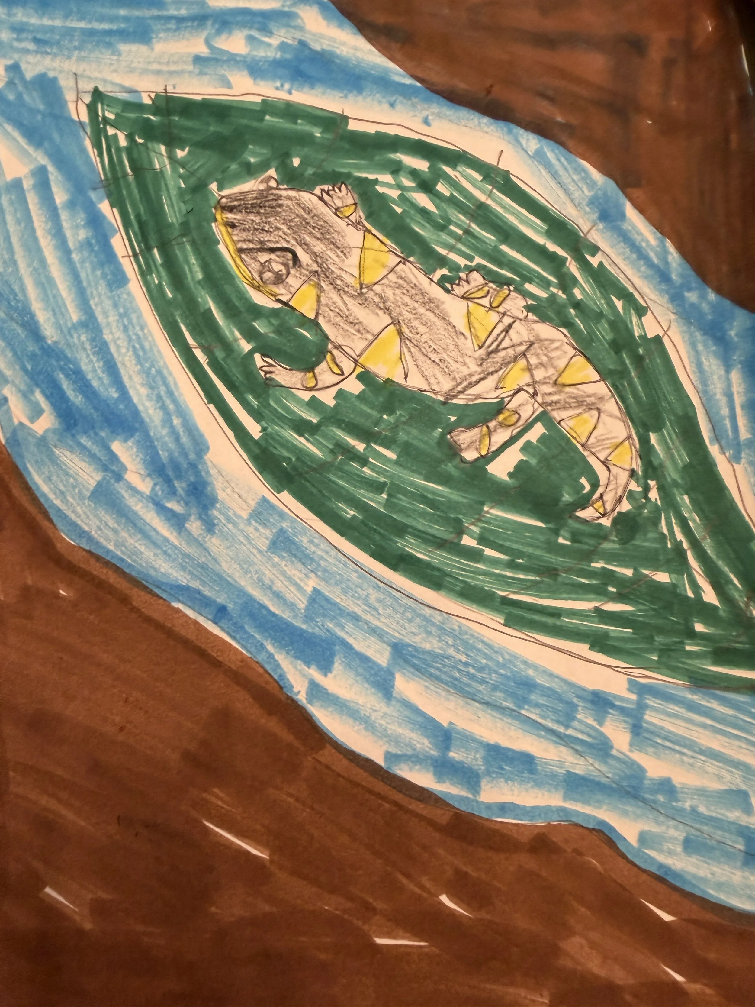   Jasmine  (8 years old)   Adventuring salamander , 2026  Marker, pencil, and paper   Description:  Jasmine’s California Tiger Salamander is local, amazing, and one of our favorites! 