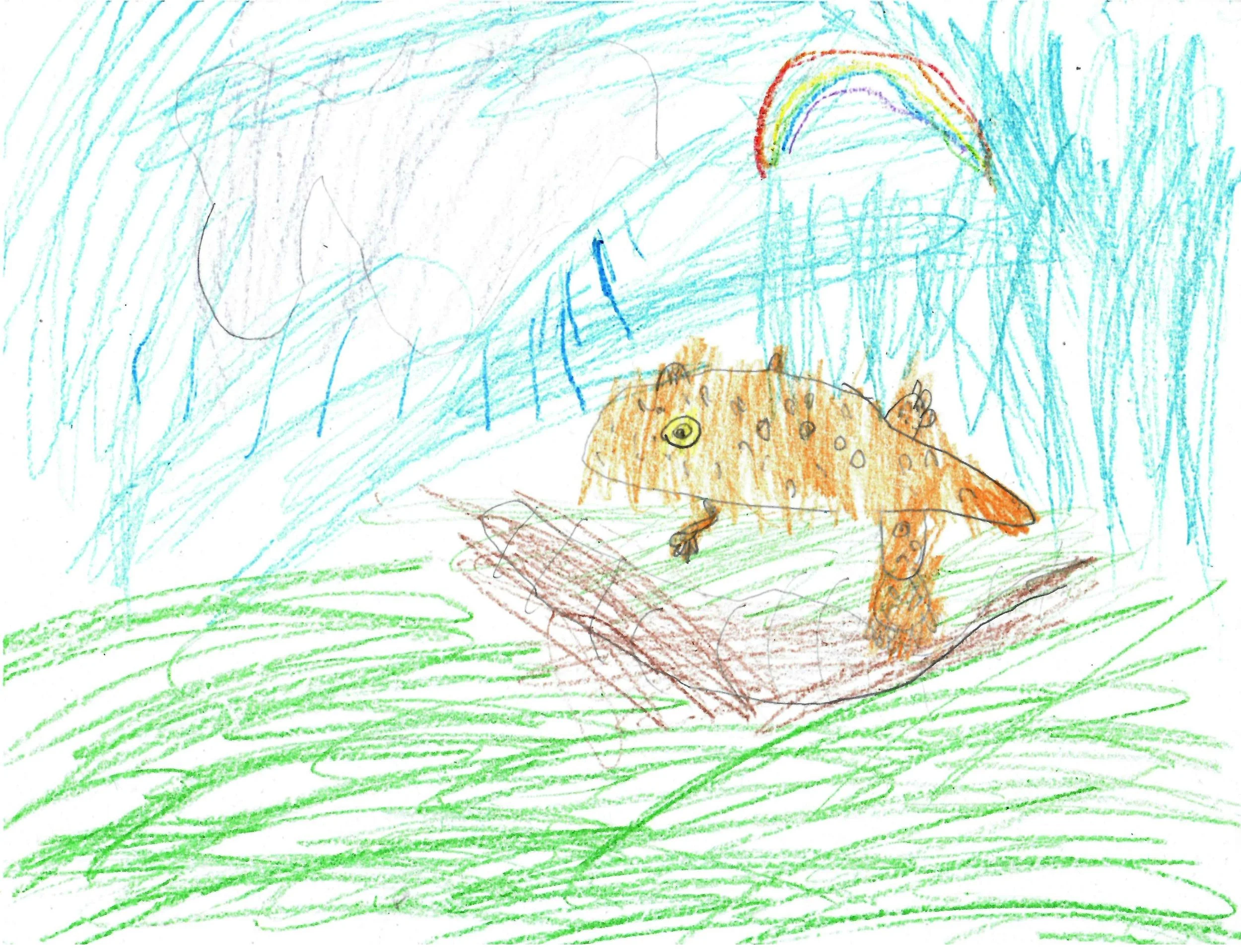   Callahan  (5 years old)   Northern Red Salamander , August 2026  Crayon   Description:  This is a picture of a Northern Red Salamander, drawn by Callahan, age 5. 