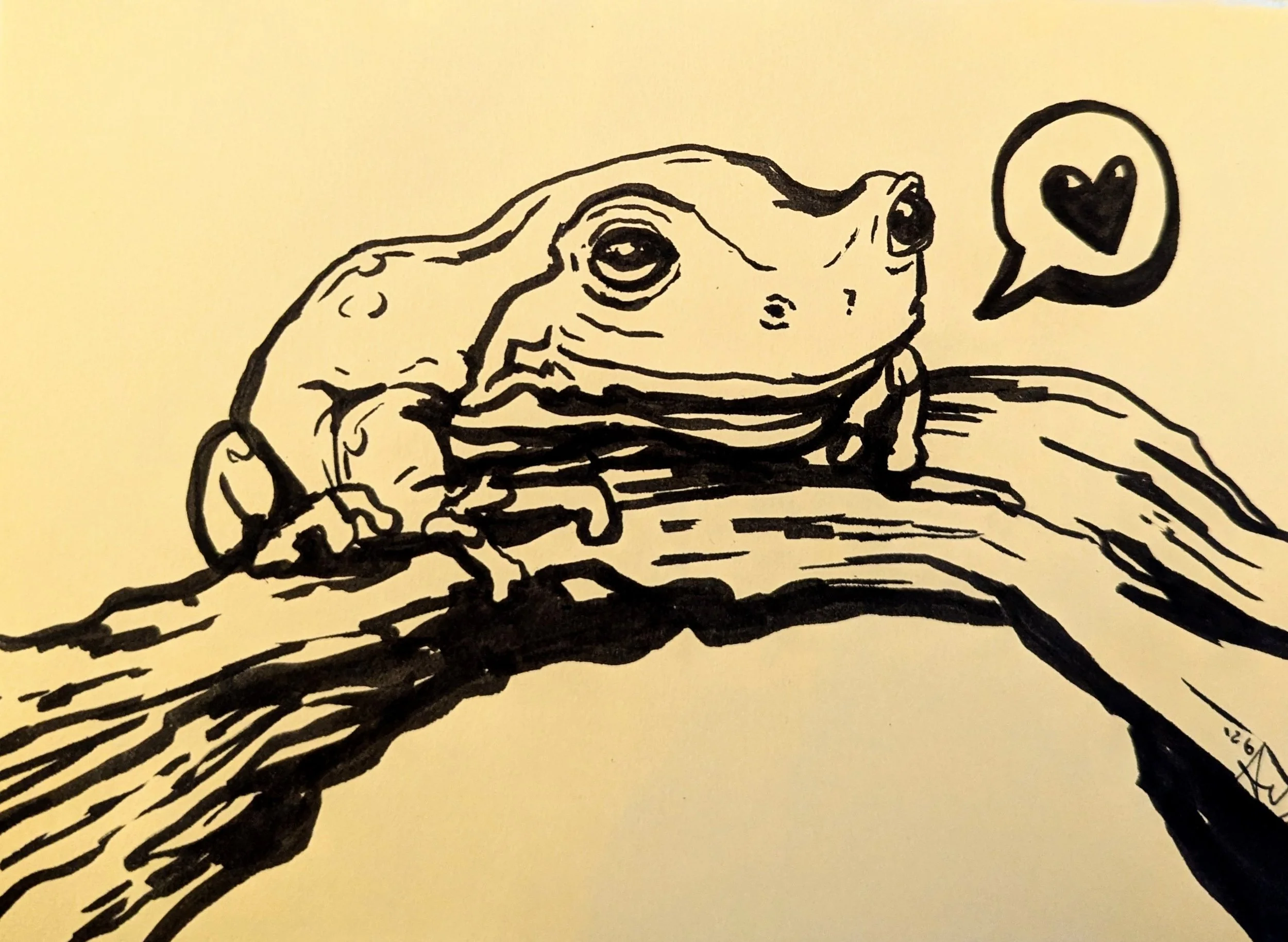   Amber Dee    Frog <3 , 2026  Ink on paper   Description:  Frogs are pretty cute little weirdos. Here's a drawing of one.   Artist background:   www.plumdada.com  (very different than the frog) 