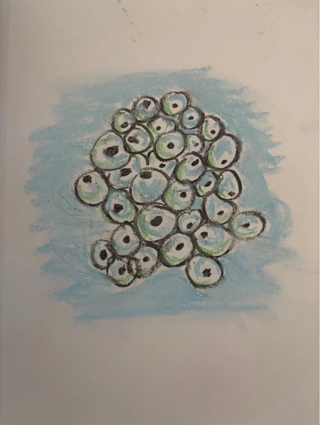   Laura Moriarty    Dream Frogs , 2025  Pastels   Description:  I dreamed of being a frog experiencing a live birth from a sack. As a child in Cape Cod I lived near a pond where there many frogs, tadpoles etc. The dream suggests transformation. After