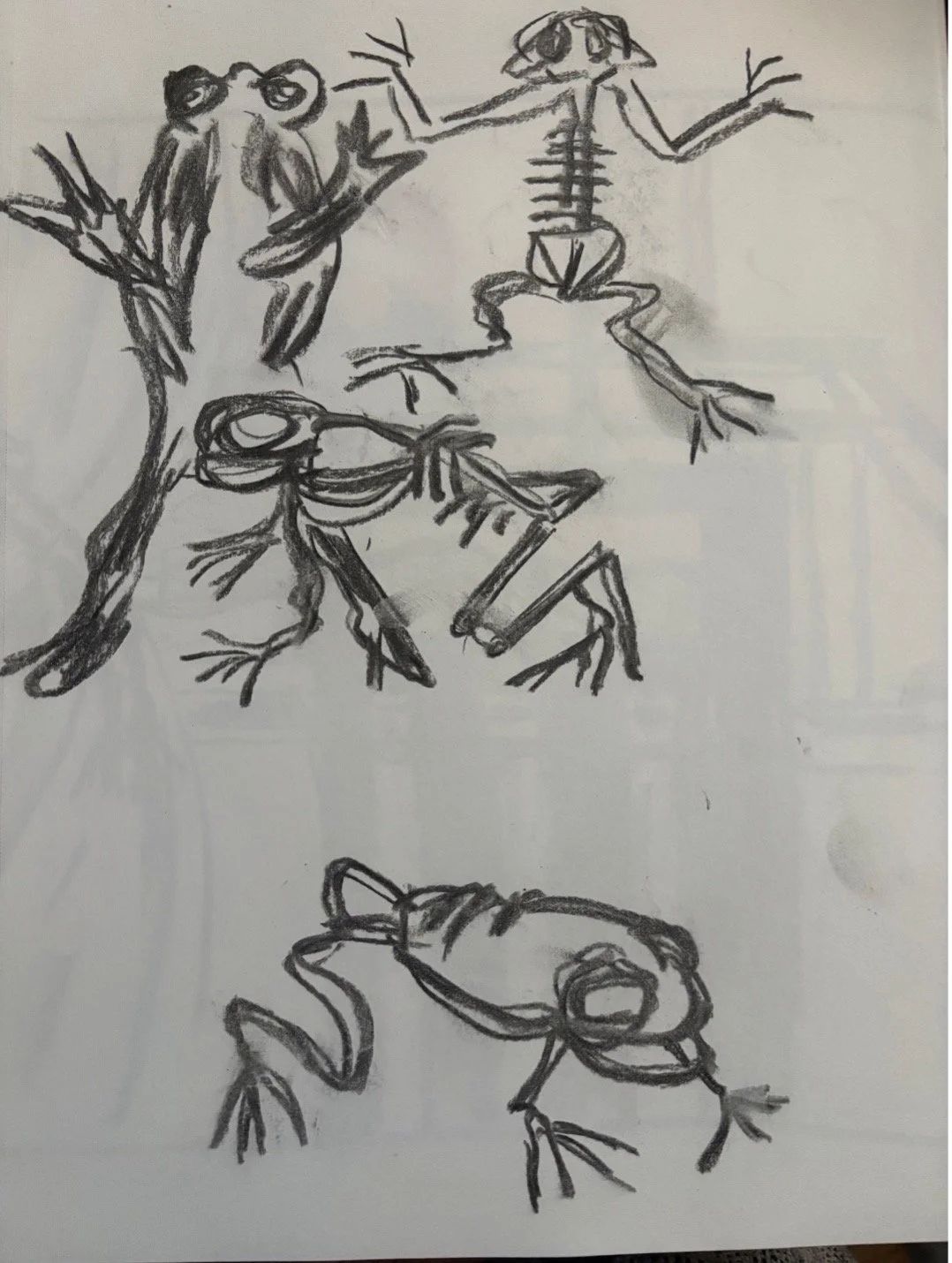   Laura Moriarty    Dream Frogs , 2025  Pastels   Description:  I dreamed of being a frog experiencing a live birth from a sack. As a child in Cape Cod I lived near a pond where there many frogs, tadpoles etc. The dream suggests transformation. After
