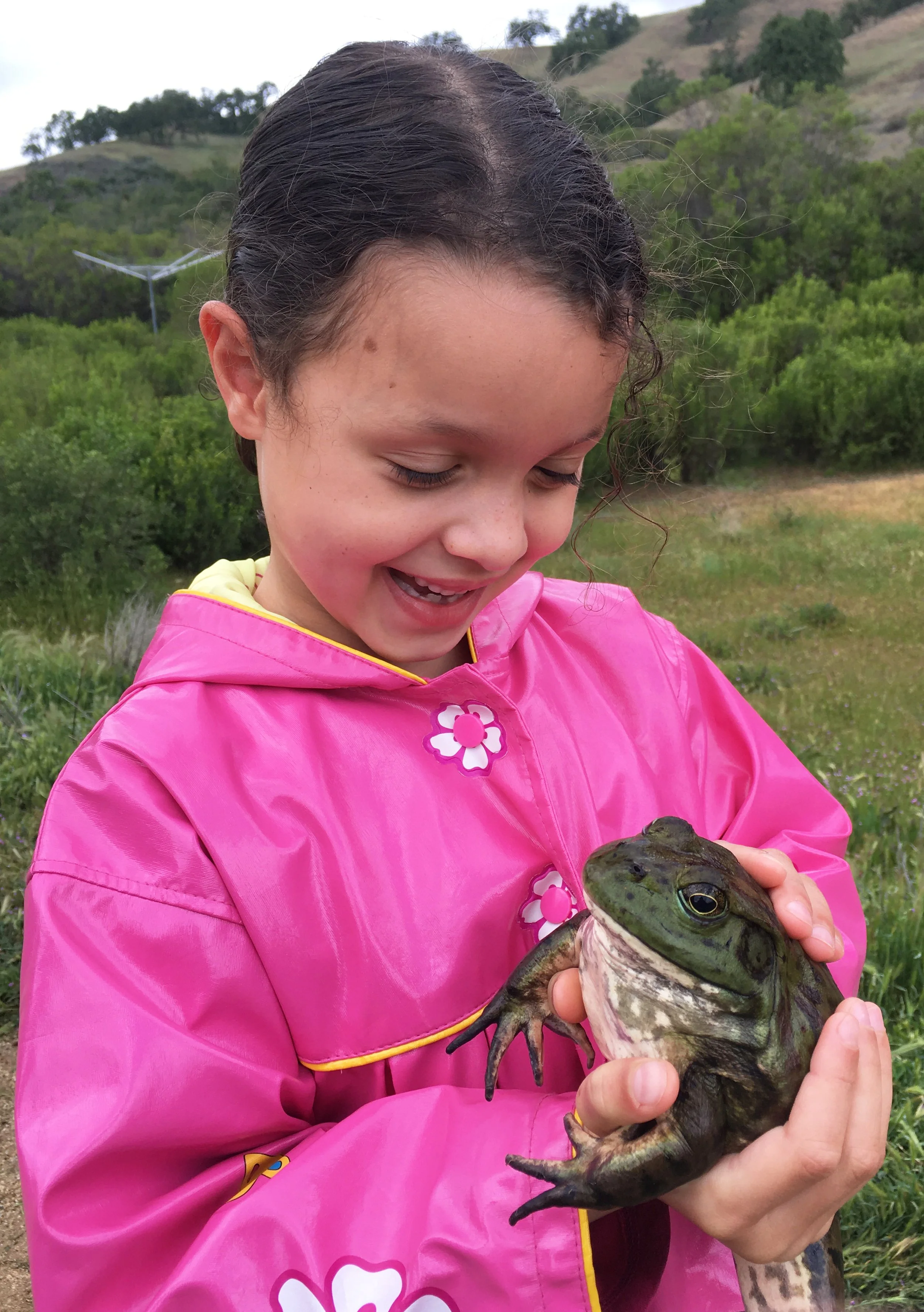 How Fun to Hold a Frog by Ammon and Alexandra Corl