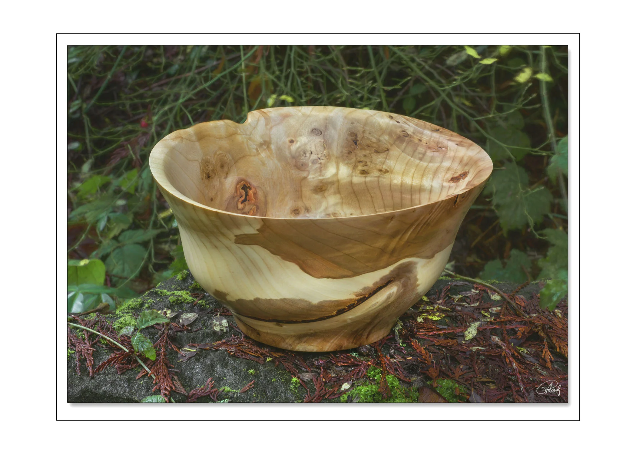 Two-Tone Poplar Salad Bowl