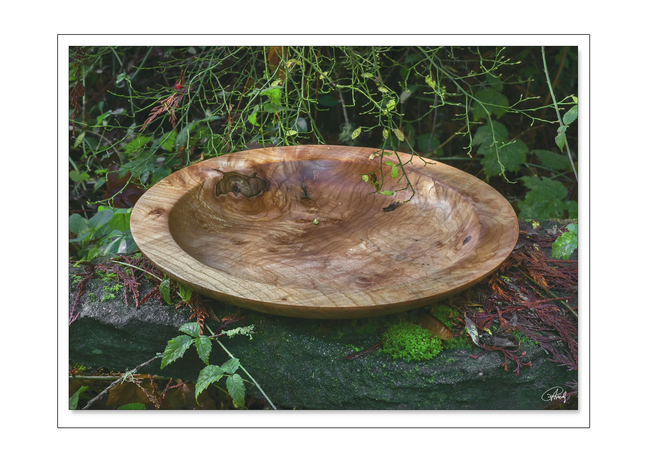 Sycamore Platter with Spalting and Figure