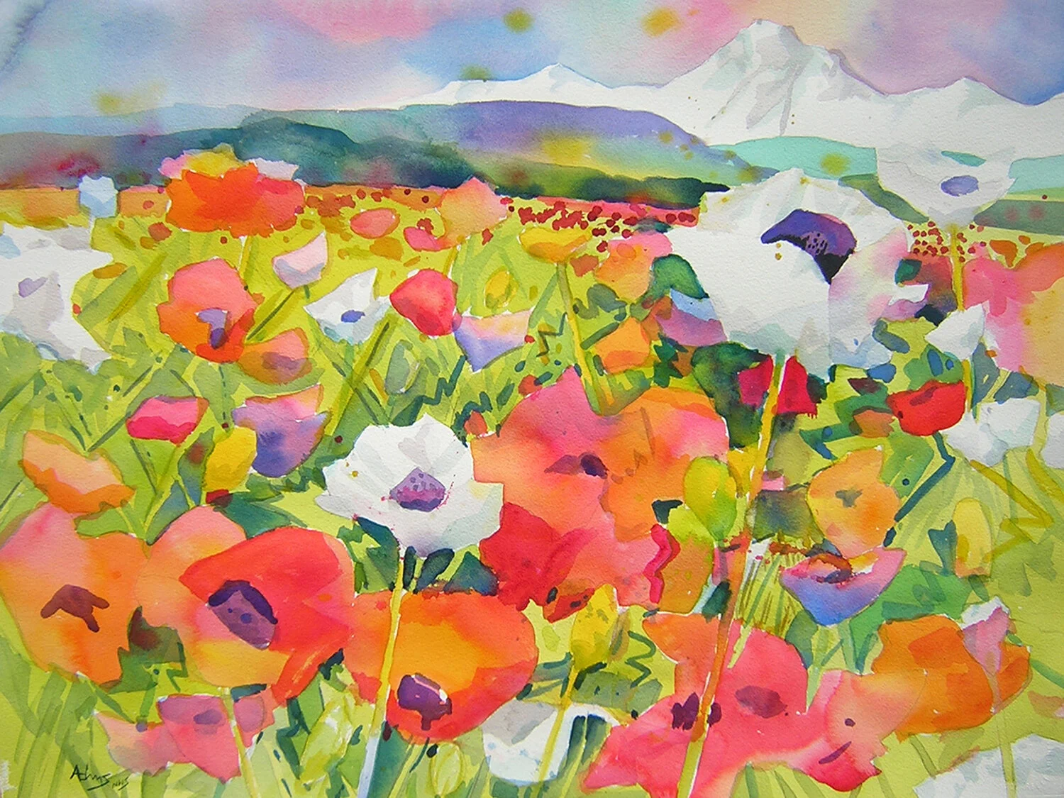 Poppies
