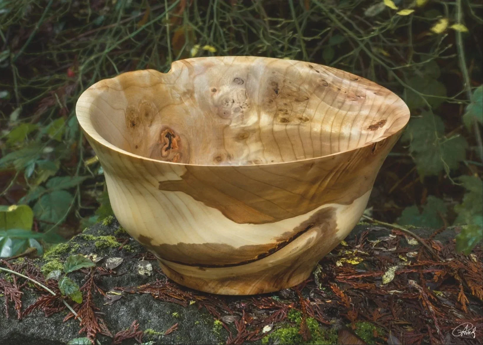Two-Tone Poplar Salad Bowl