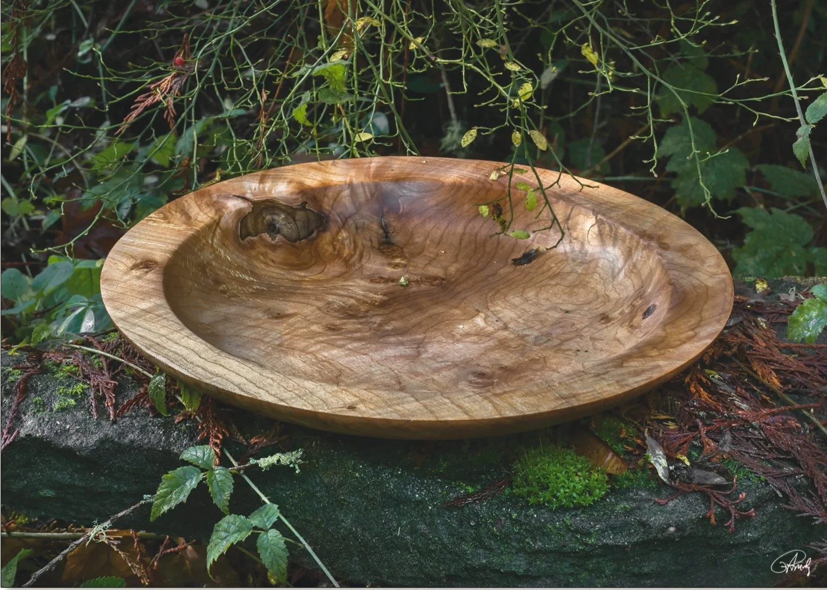 Sycamore Platter with Spalting and Figure