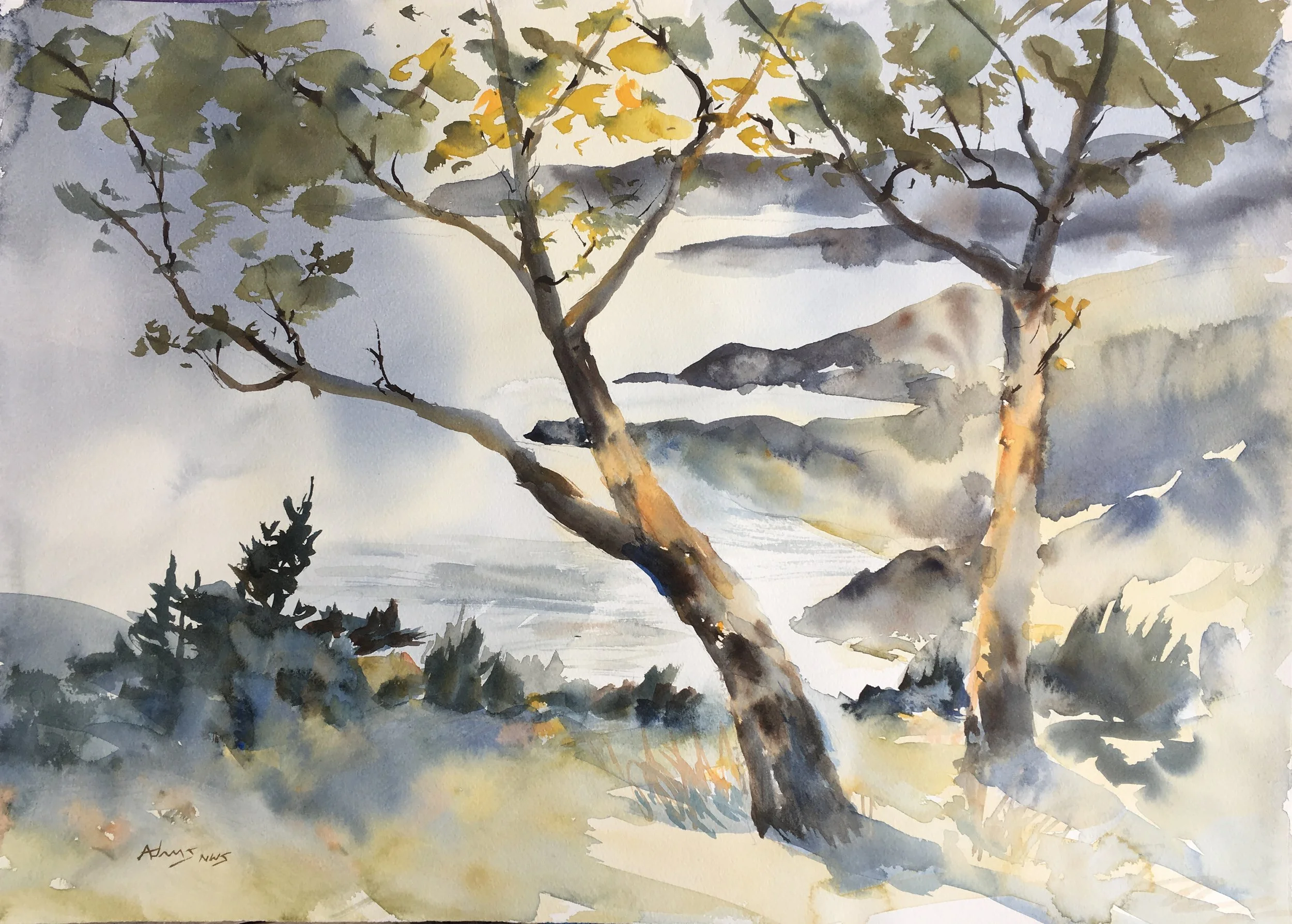 Hood Canal Afternoon