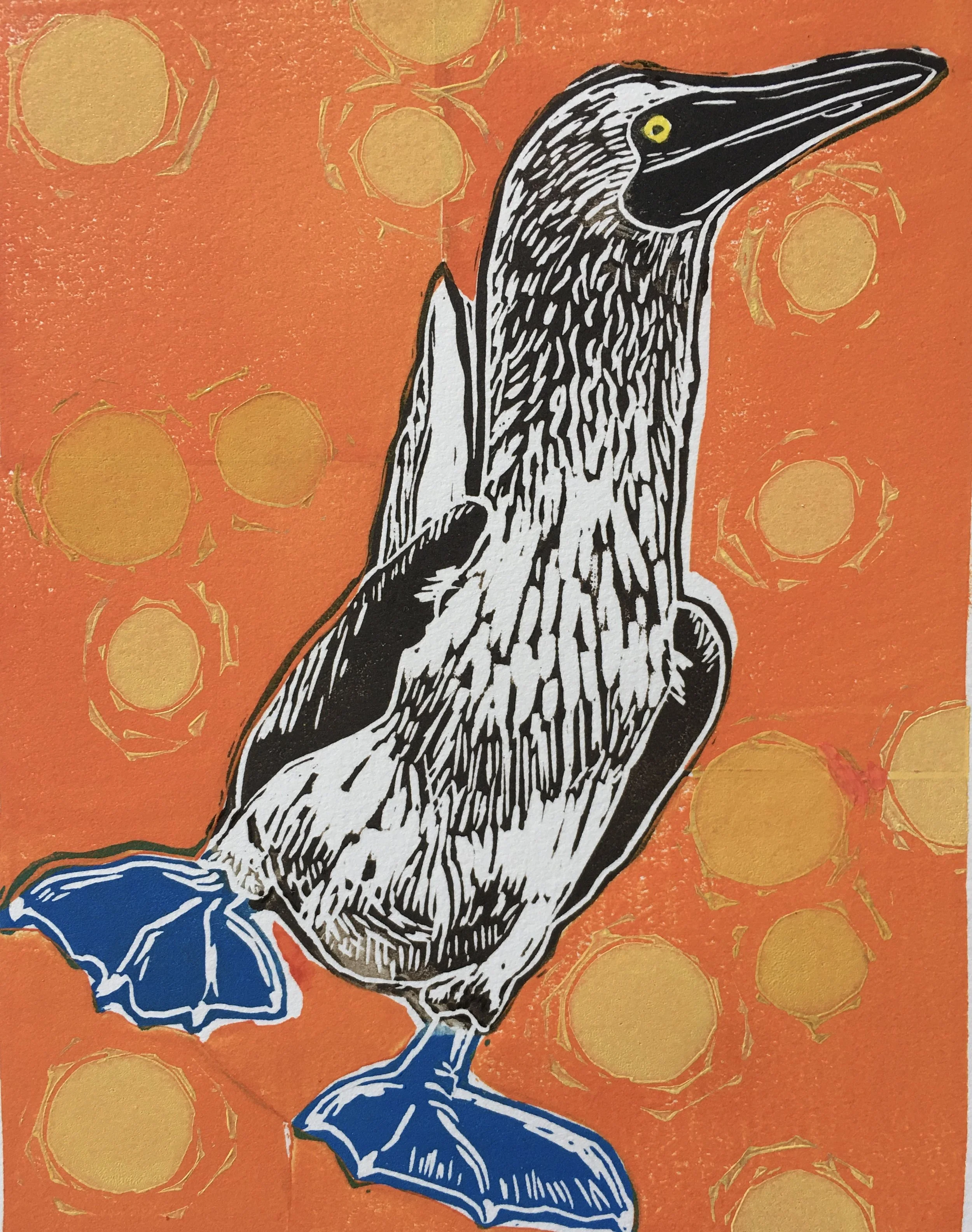 Blue Footed Booby