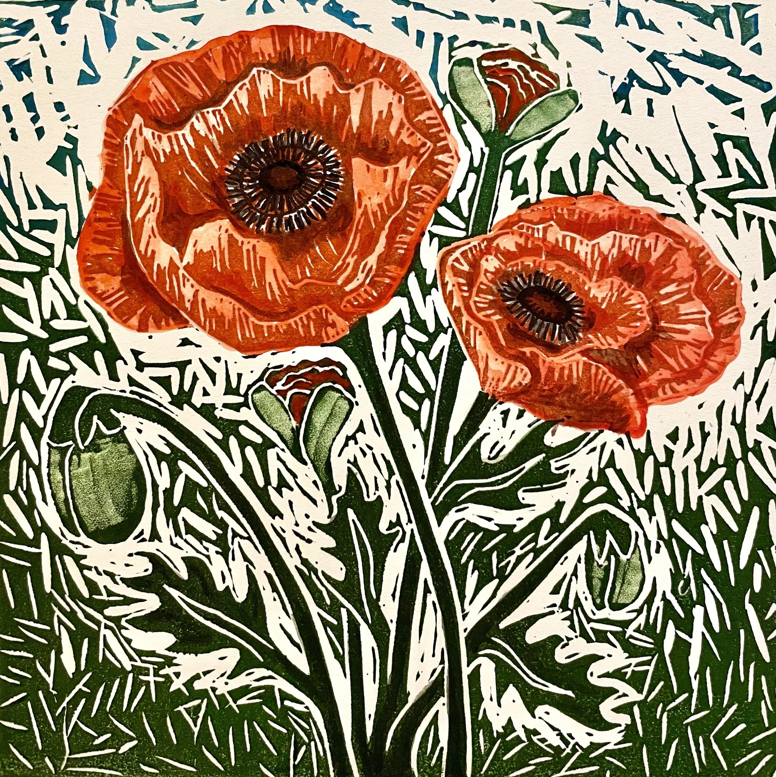 Poppies