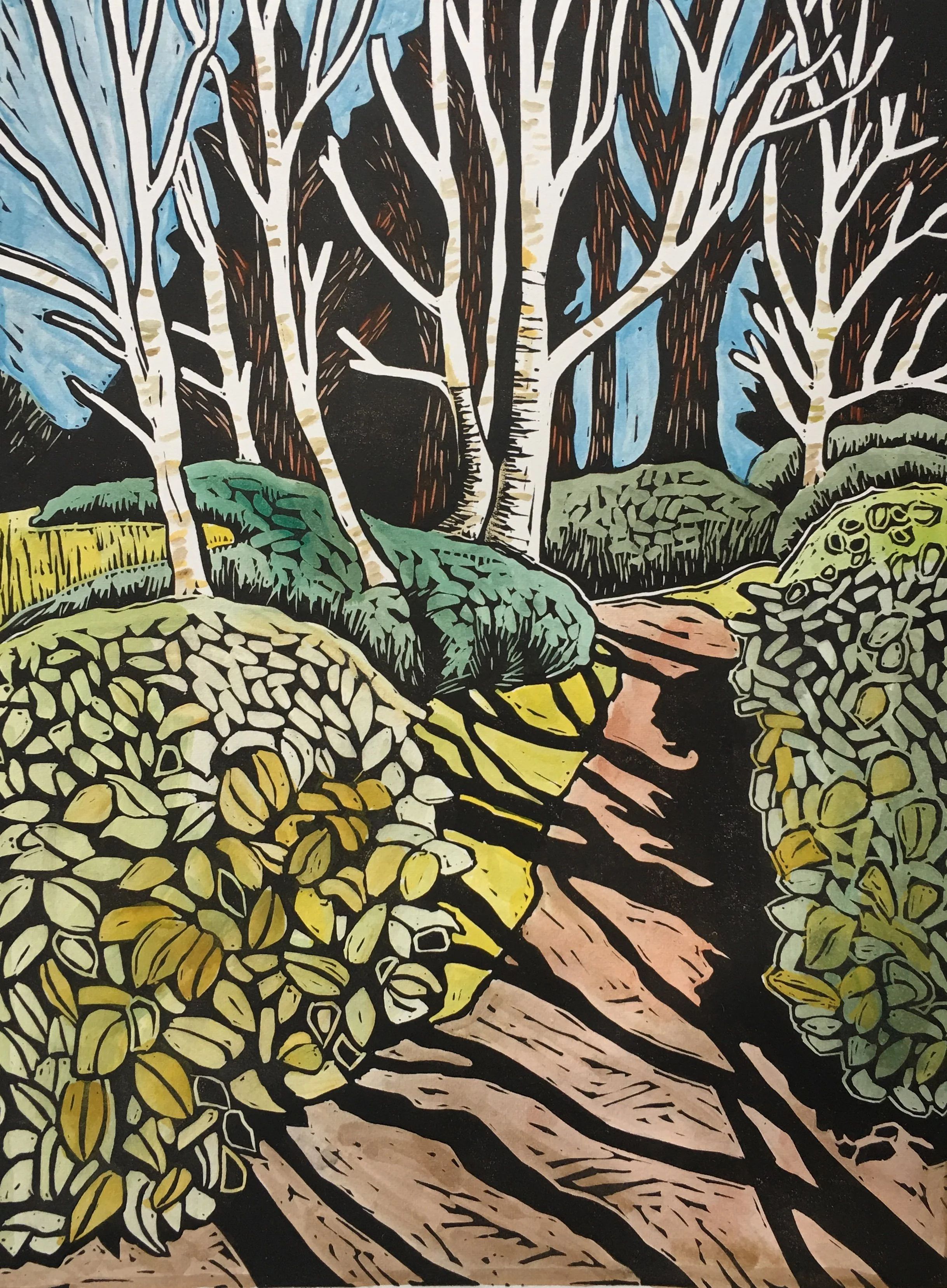 Birch Garden