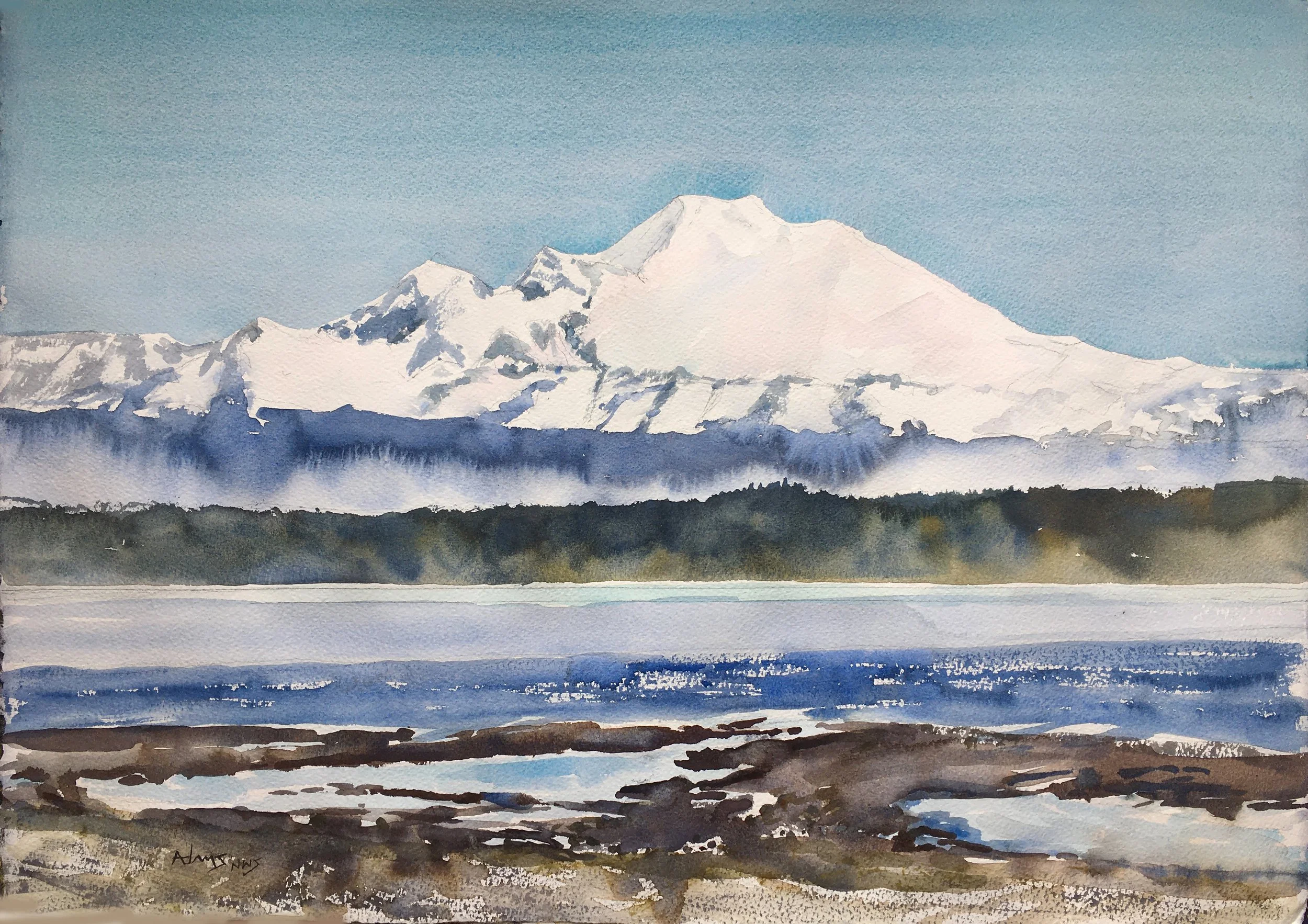 Mt. Baker - Marrowstone Island View