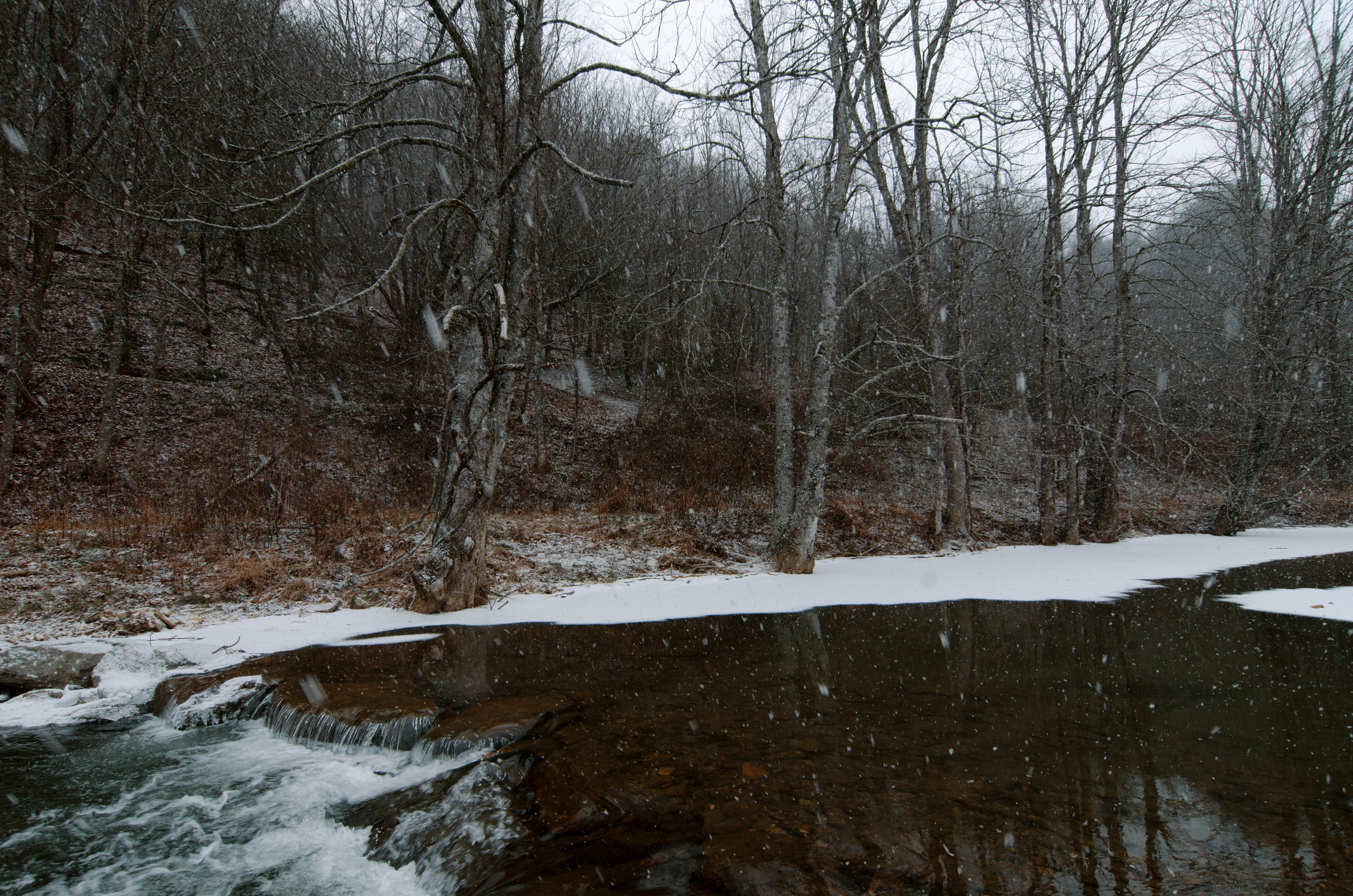  An exploration of the wintery landscape of Ashe County, NC 