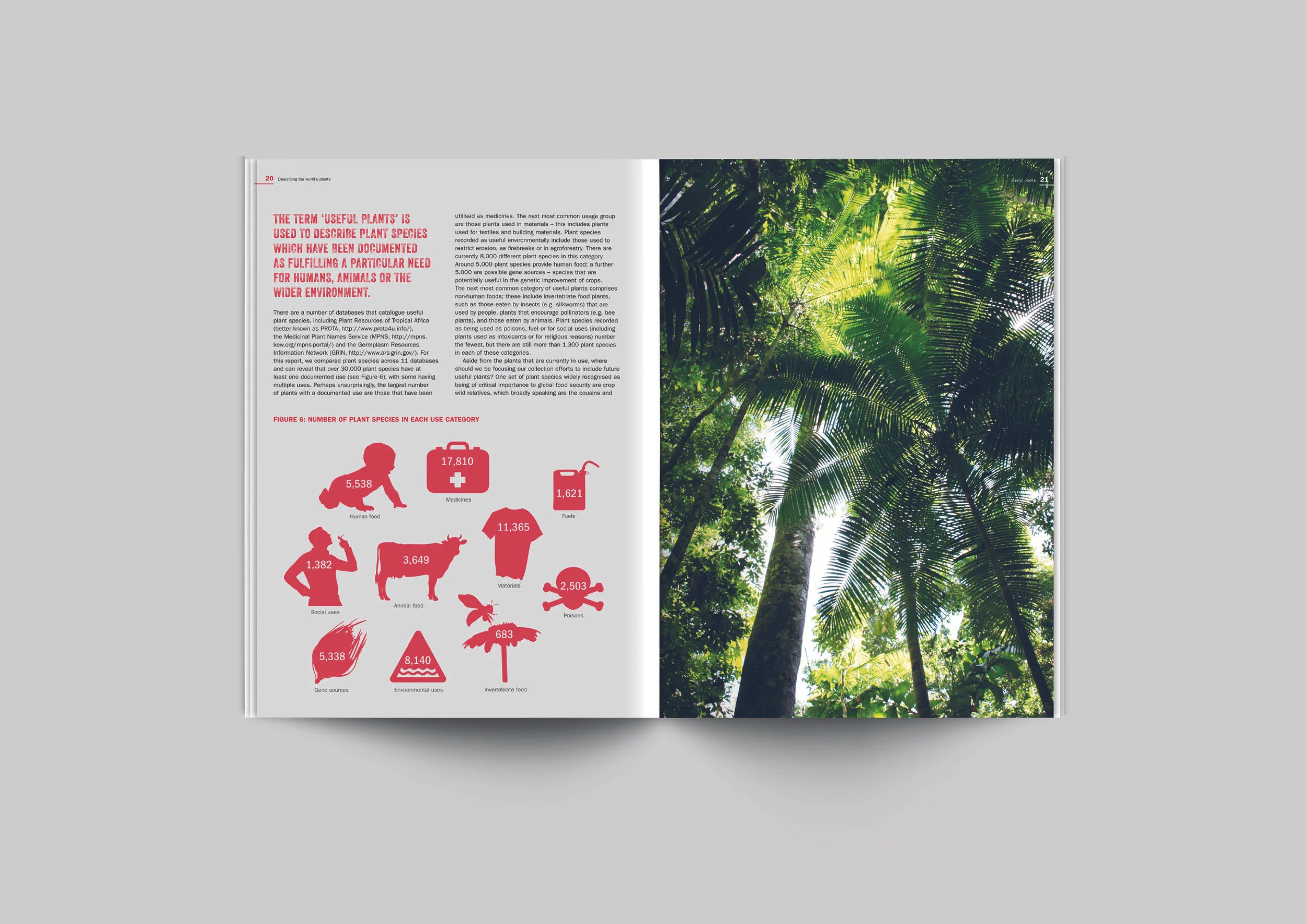 JeffEden_extra 3.jpg