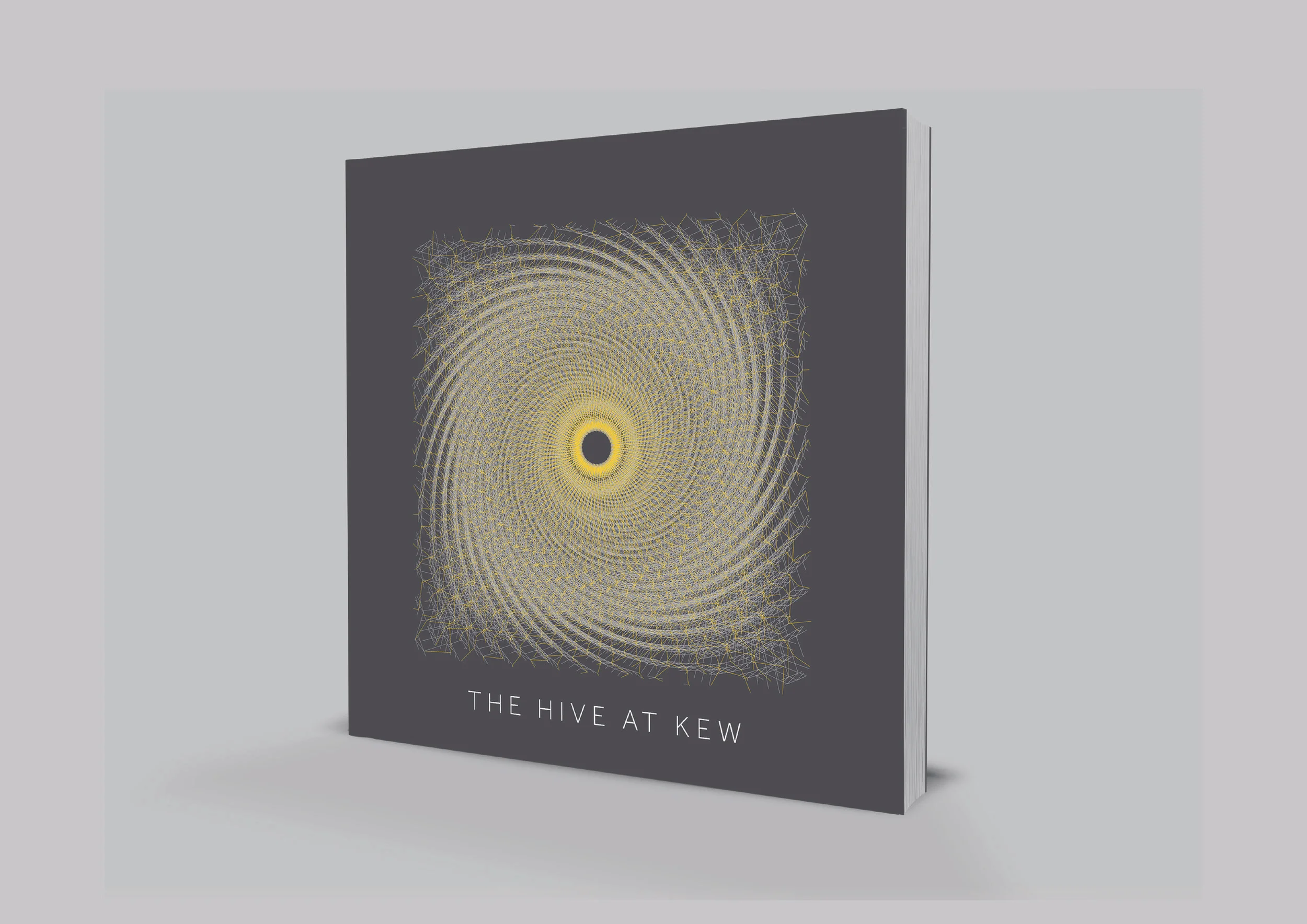 JeffEden_extra 5hive.jpg