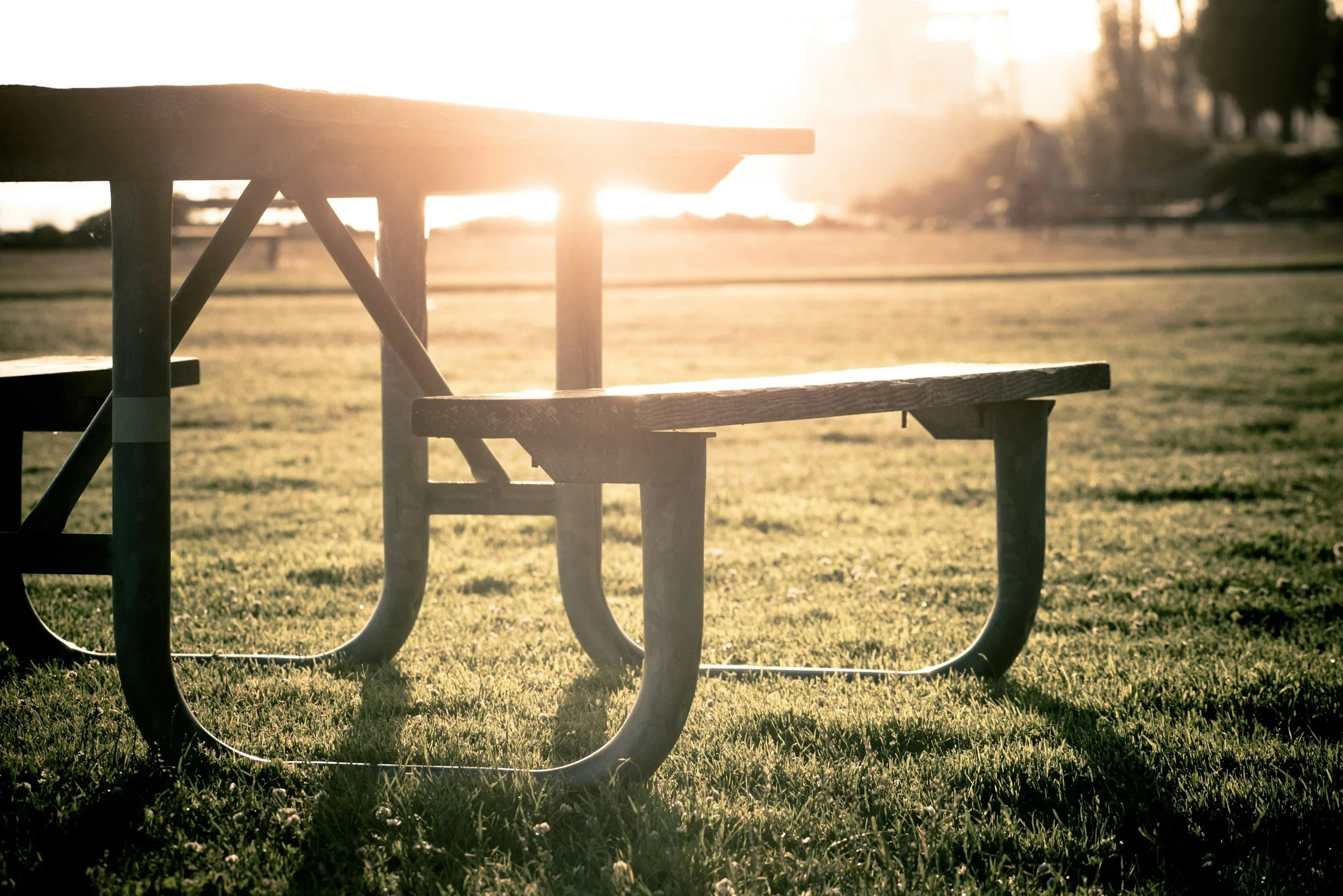Picnic Tables