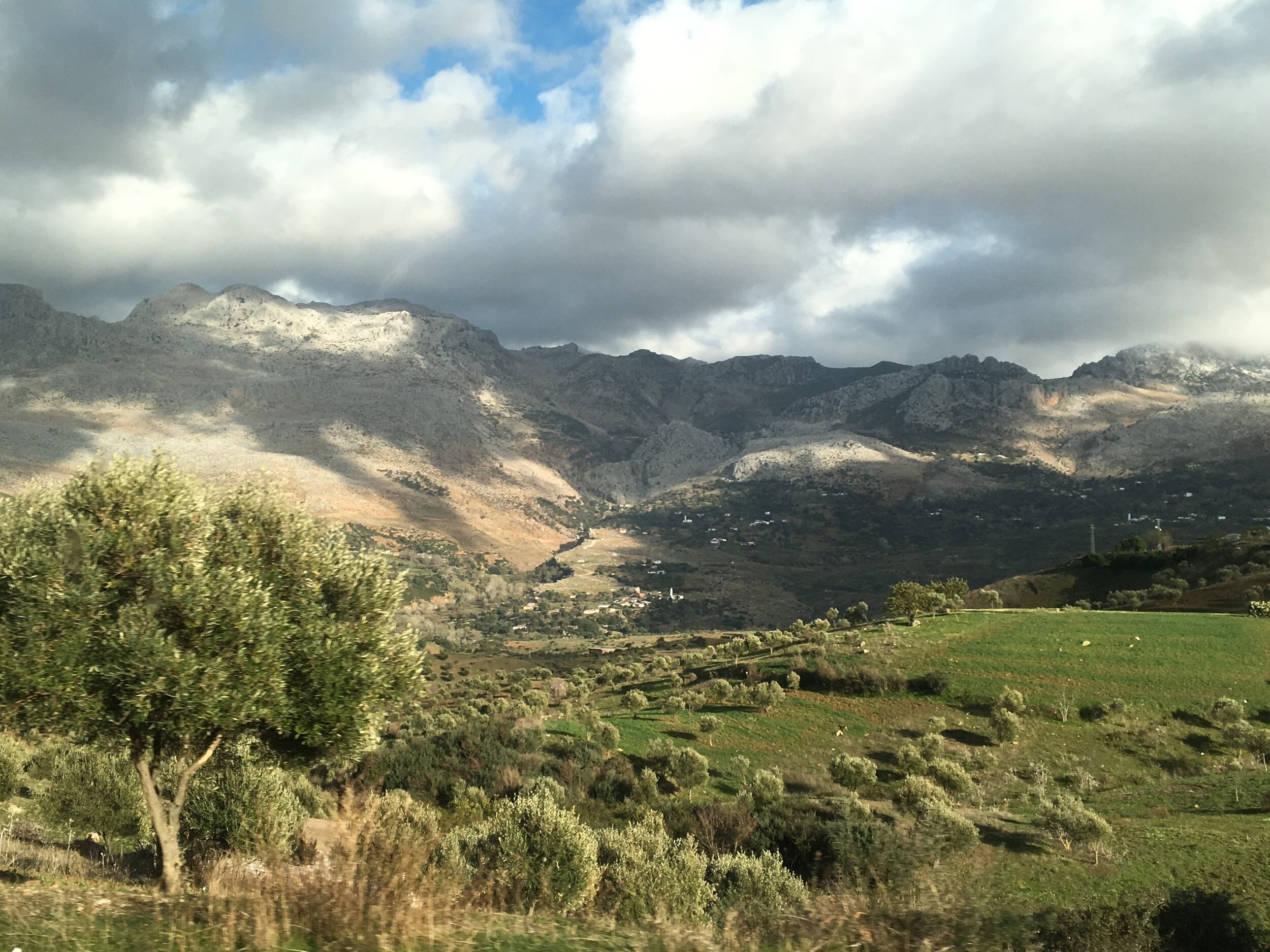 IMG_9941.jpeg