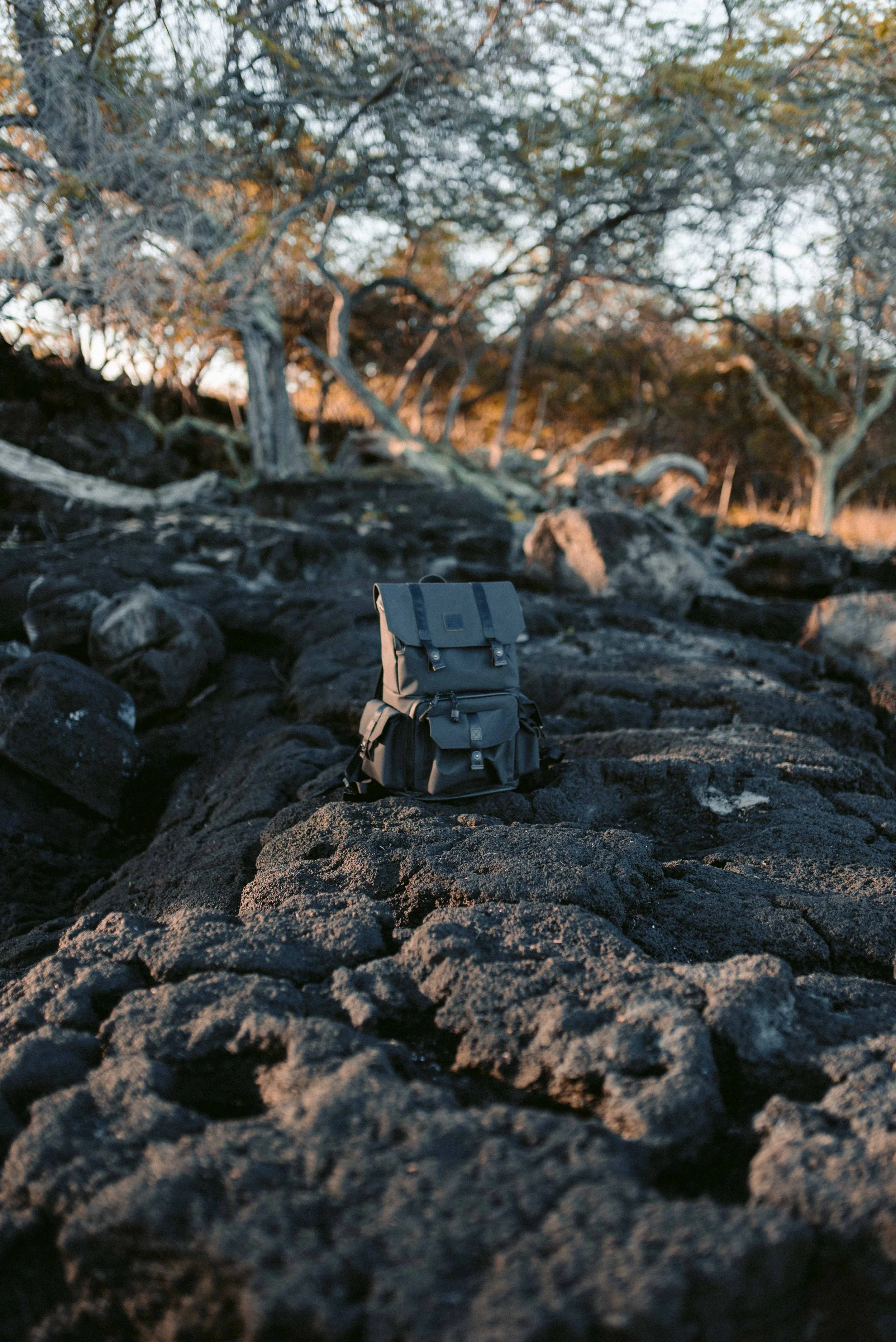 Langly Select-16.jpg