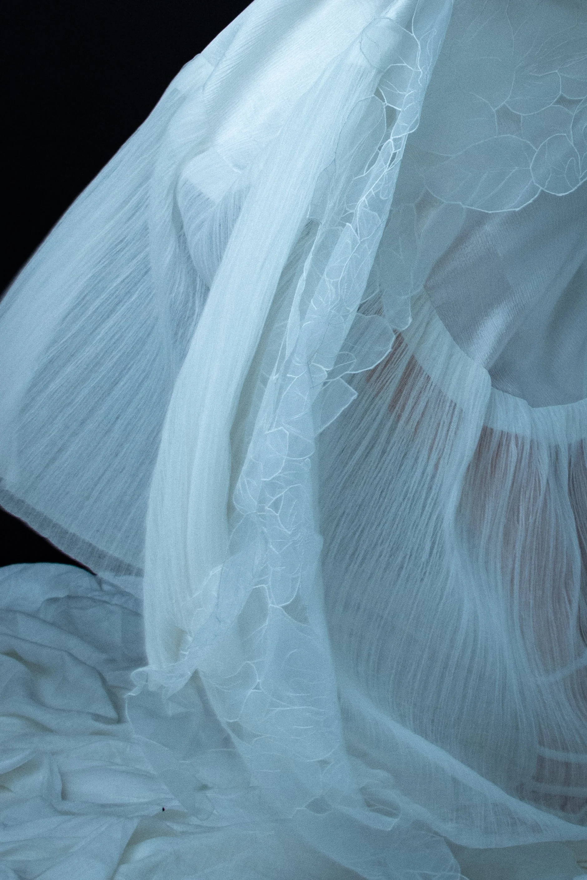 Adele wedding dress
