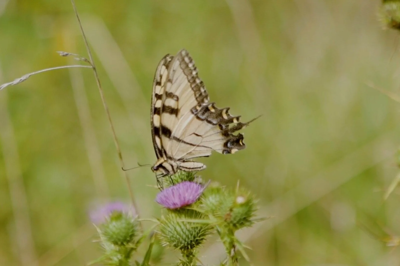 Research — The REED Center
