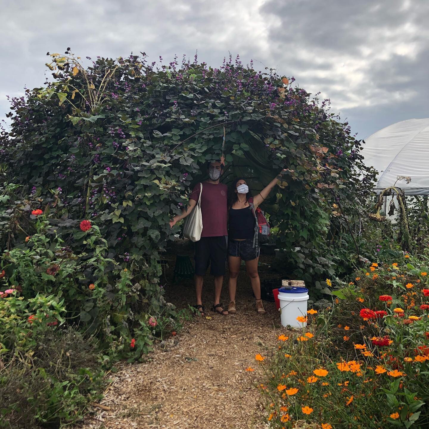 Amazing plant dome designed with kiddos in mind&mdash;at Potomac Vegetable farms!
#plantdome #potomacvegetablefarms #naturalarchitecture #plantarchitecture #outdoorschool #permaculture #permaculturedesign #permaculturedesigncourse