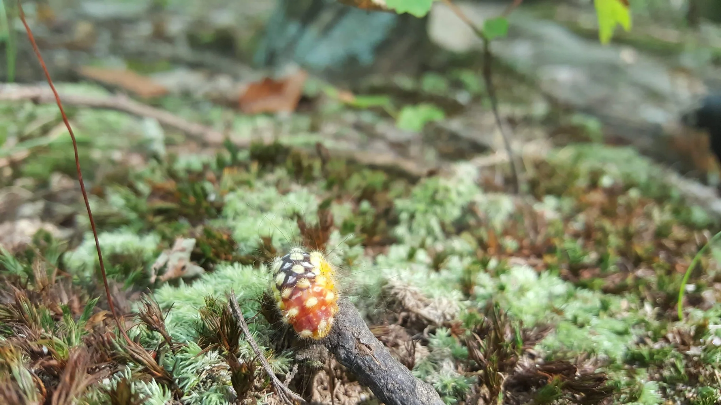 All Events — The REED Center