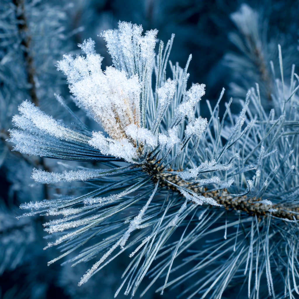Food Forest Volunteering &amp; Experiential Learning