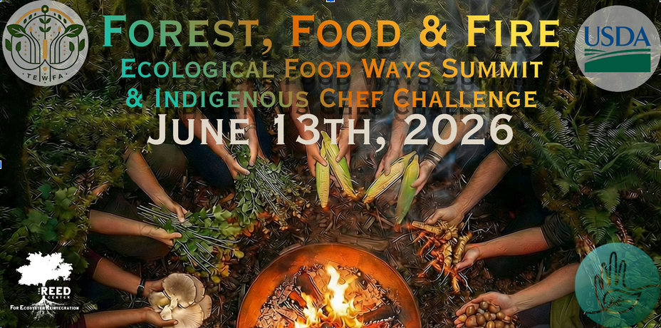Forest, Food &amp; Fire: Ecological Food Ways Summit &amp; Indigenous Chef Challenge