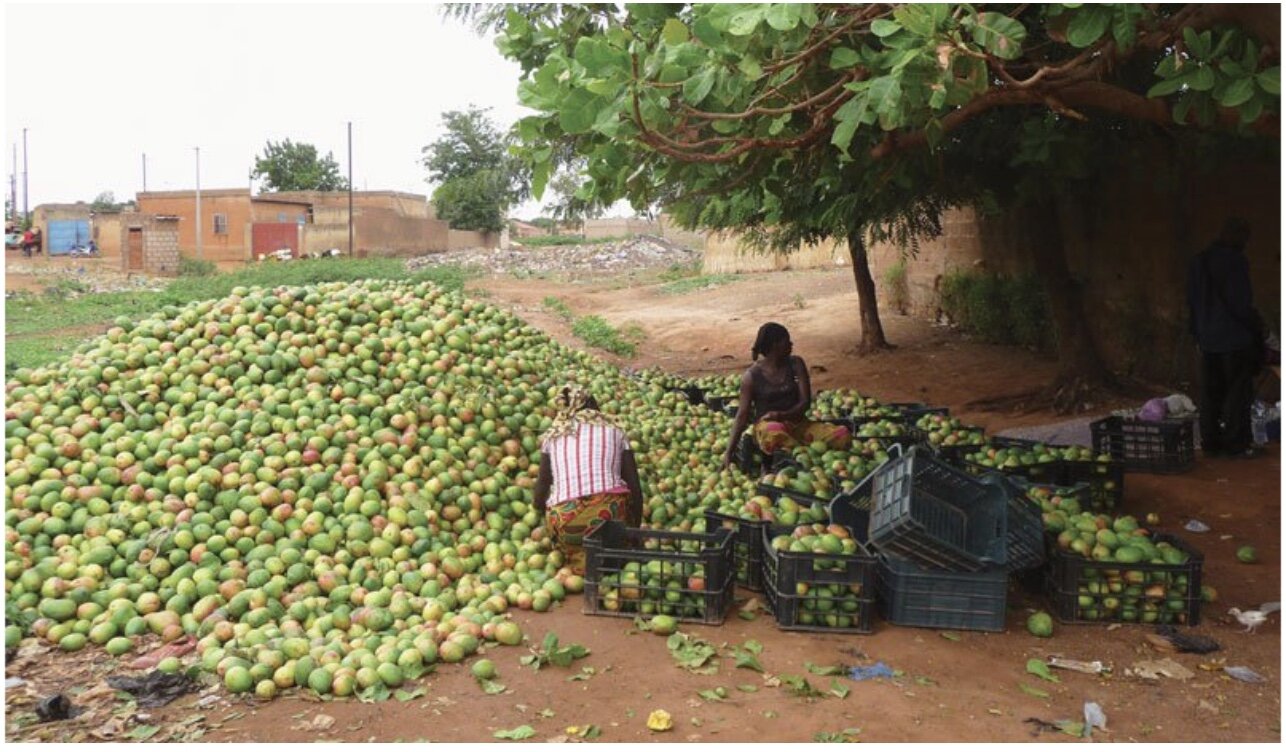 Loose Organic Dried Mango — GET LOOSE