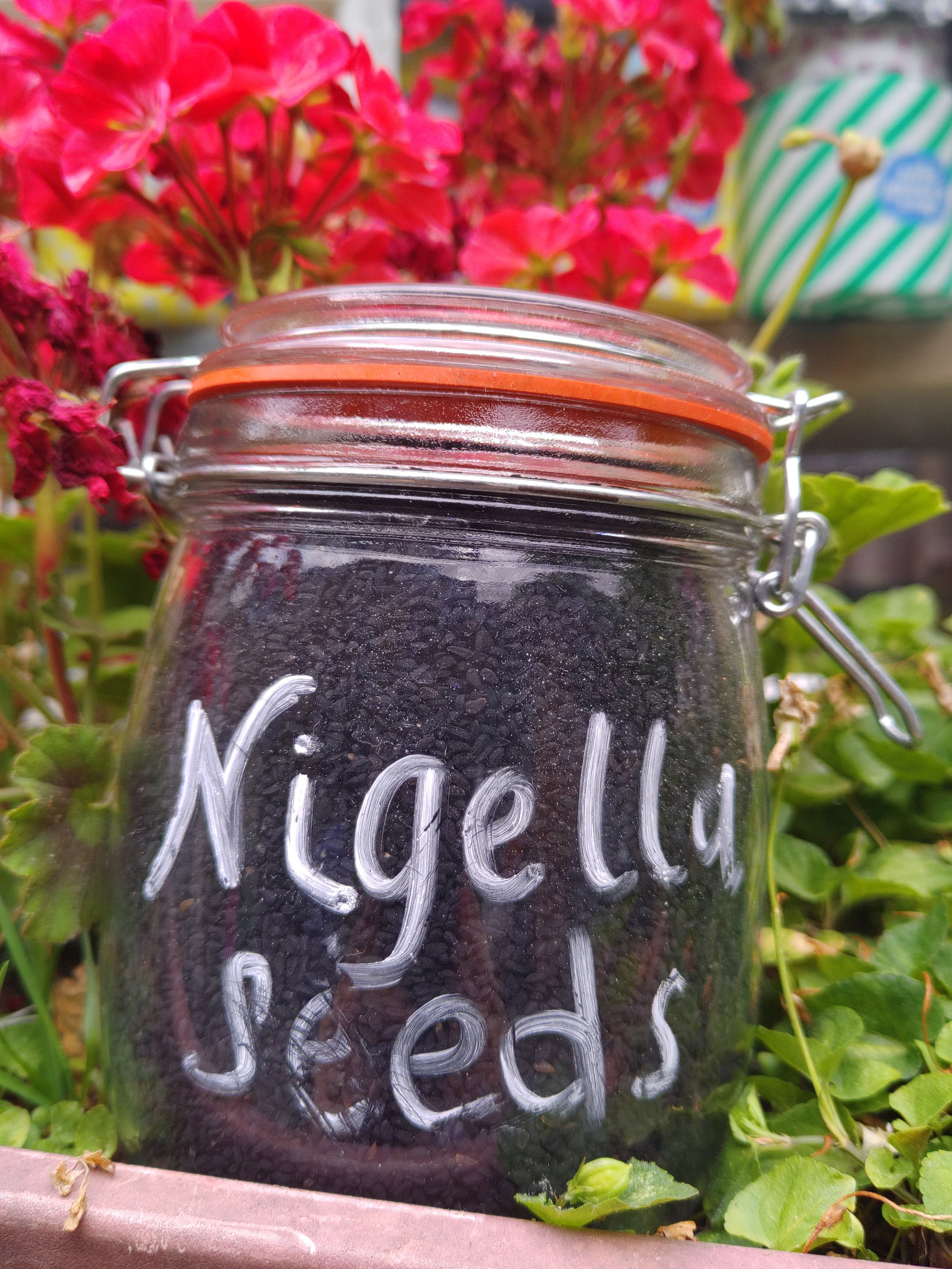 Nigella Seeds