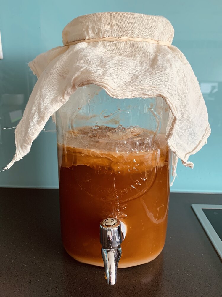 Kombucha making