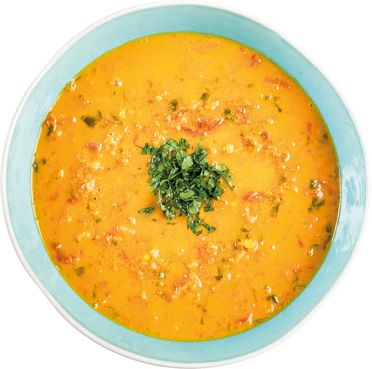 Spicy Tomato &amp; Lentil Soup