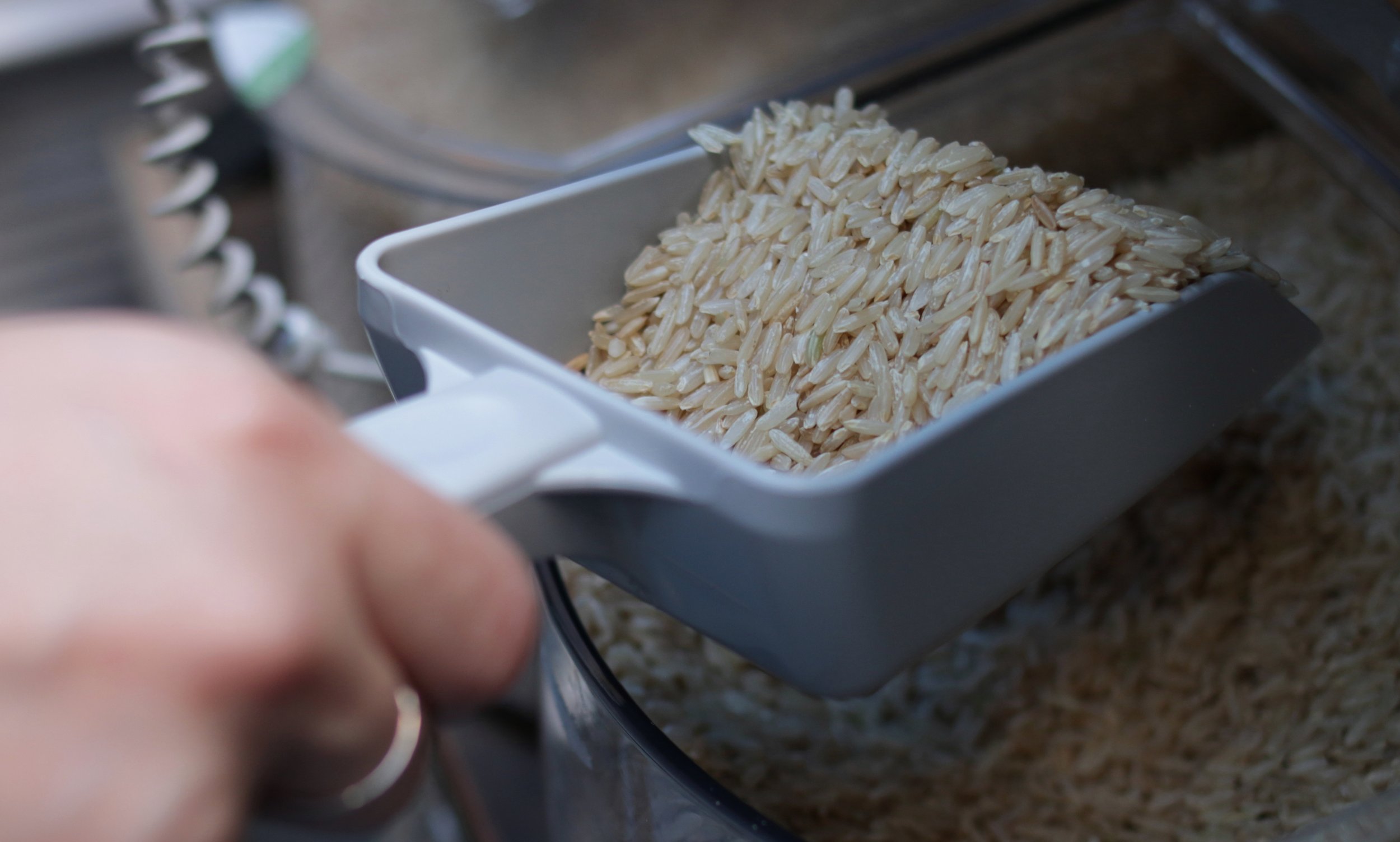 Rice Long Grain brown in scoop.JPG