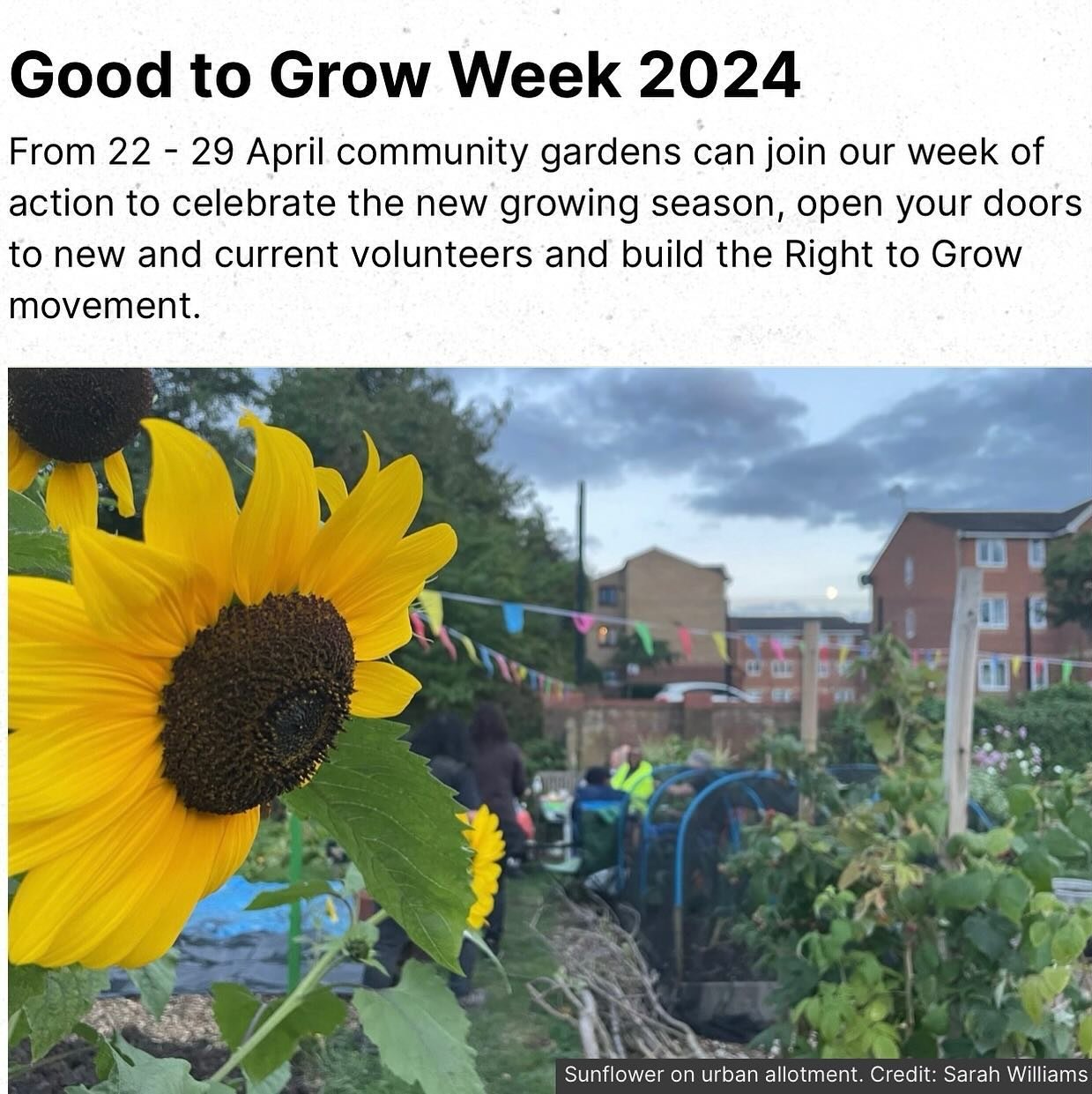 Good to Grow week starts on 22nd April. Lots of activities and events in community gardens around the UK. Find your local garden with their interactive map. Many gardens are also looking for new volunteers. Organised by @susfoodtrust. Did you know @h