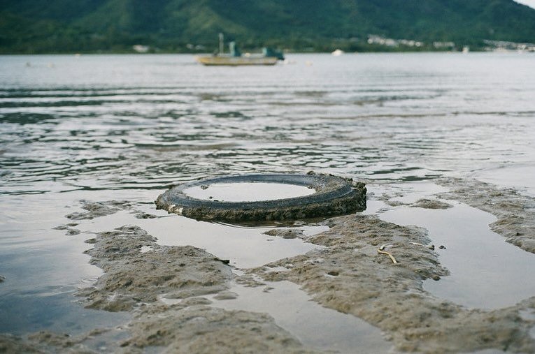 Some positive ocean news from @mcs_uk including; oysters restored to the Solent and community river clean in wales removed 10 tonnes of litter!
See link in bio 👆
#positivenews #environmentalnews #positveaction #shoplocal #refillshop #bulkshopping