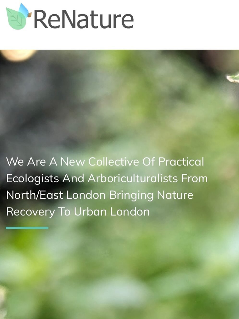 Wanting to volunteer in a local nature project restoring habitats?
Check out @renatureldn they have their next volunteering session on Saturday 2nd August. They will have more details on their socials about this soon, or drop them an email via their