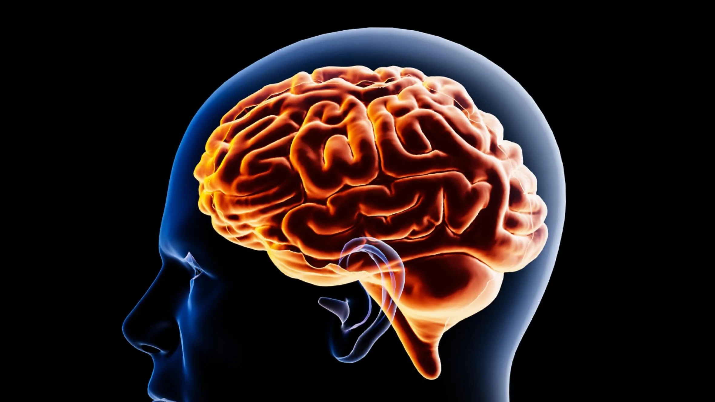 Shopping at Get Loose can improve your brain health! 
We explore the scientific evidence, and foods, we stock that support brain health in our new blog post. 
Plus suggesting some small changes that could make a big difference. 
See link in bio 👆🔗
