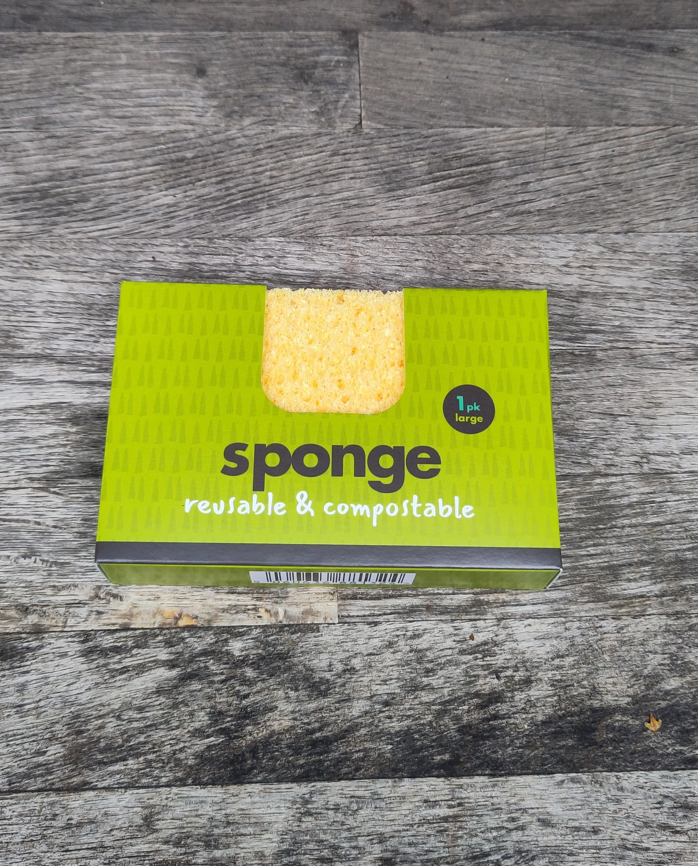 Sponge