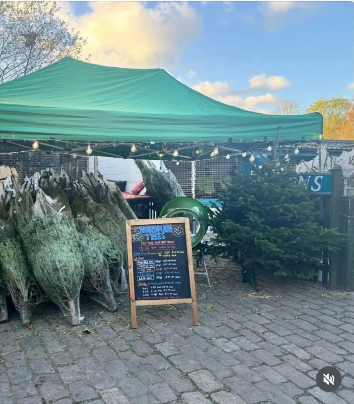 Have you seen that Christmas trees are back at @hackneycityfarm_official ? Lots of sizes to choose from. 🎄
You can also bring them back in January for recycling. 

#christmastrees #christmastreeinlondon #eastlondonchristmastree #recycleyourtree #rec