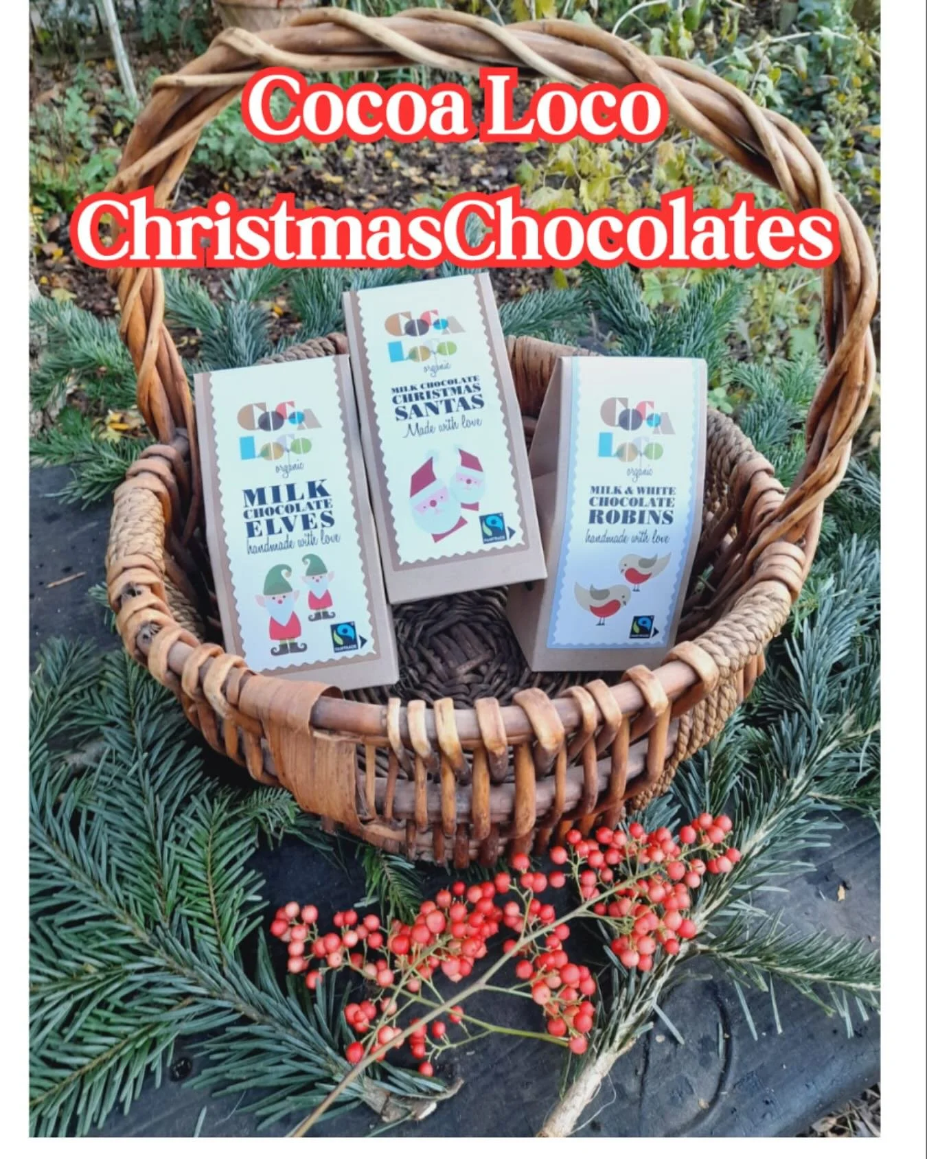New in @cocoalocochoc Christmas chocolates! Perfect for gifting.

#christmas2025 #organicfood #organicchocolate #fairtradechocolate #lovehackney #hackneycityfarm #shoplocal #lovelocal