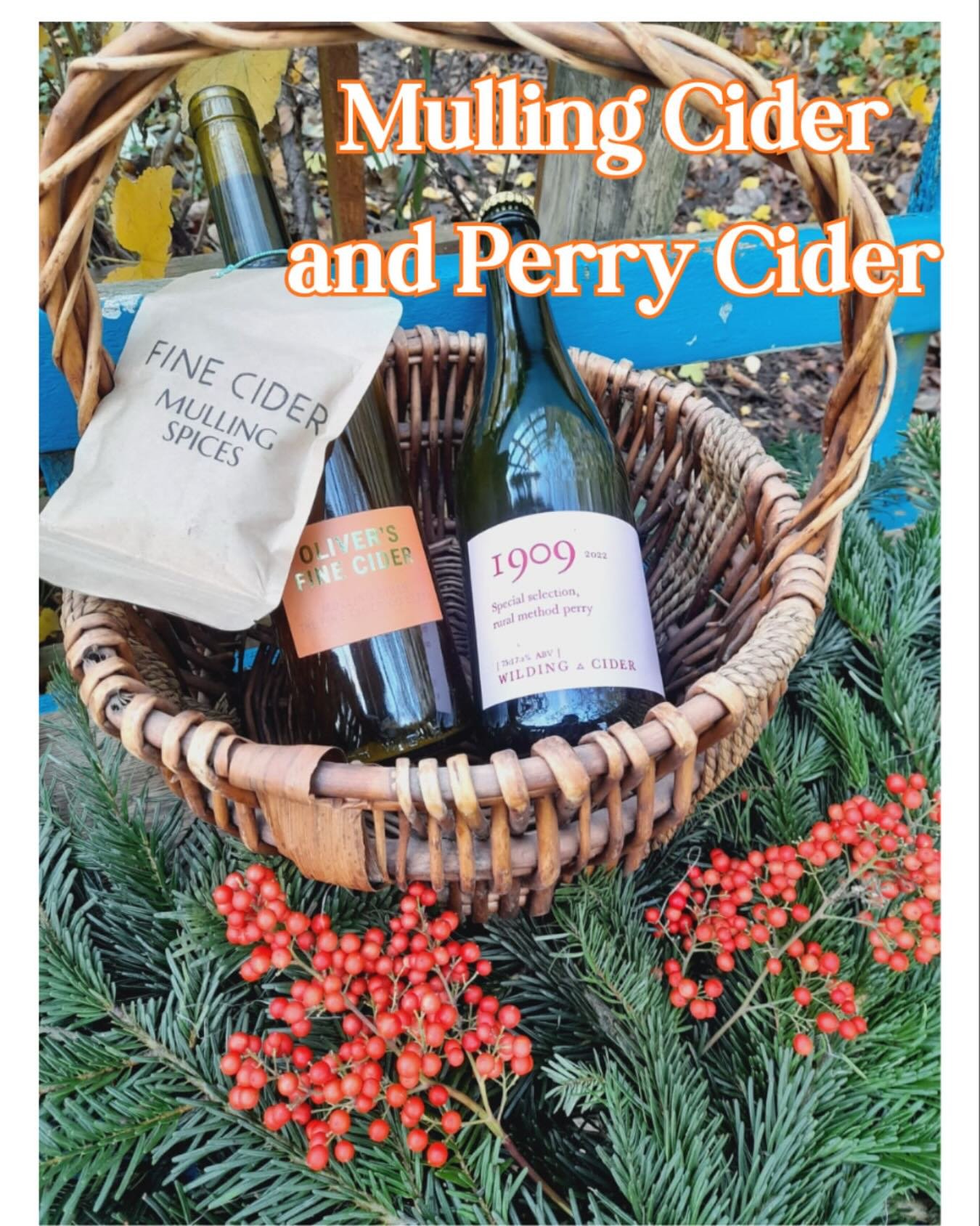 It&rsquo;s back, mulling cider from @tomoliverscider, plus we also have a new Perry from @wildingcider 

#cider #perry #smallproducer #christmasgifts #christmasparty #hackneycityfarm #lovelocal #shopsmall