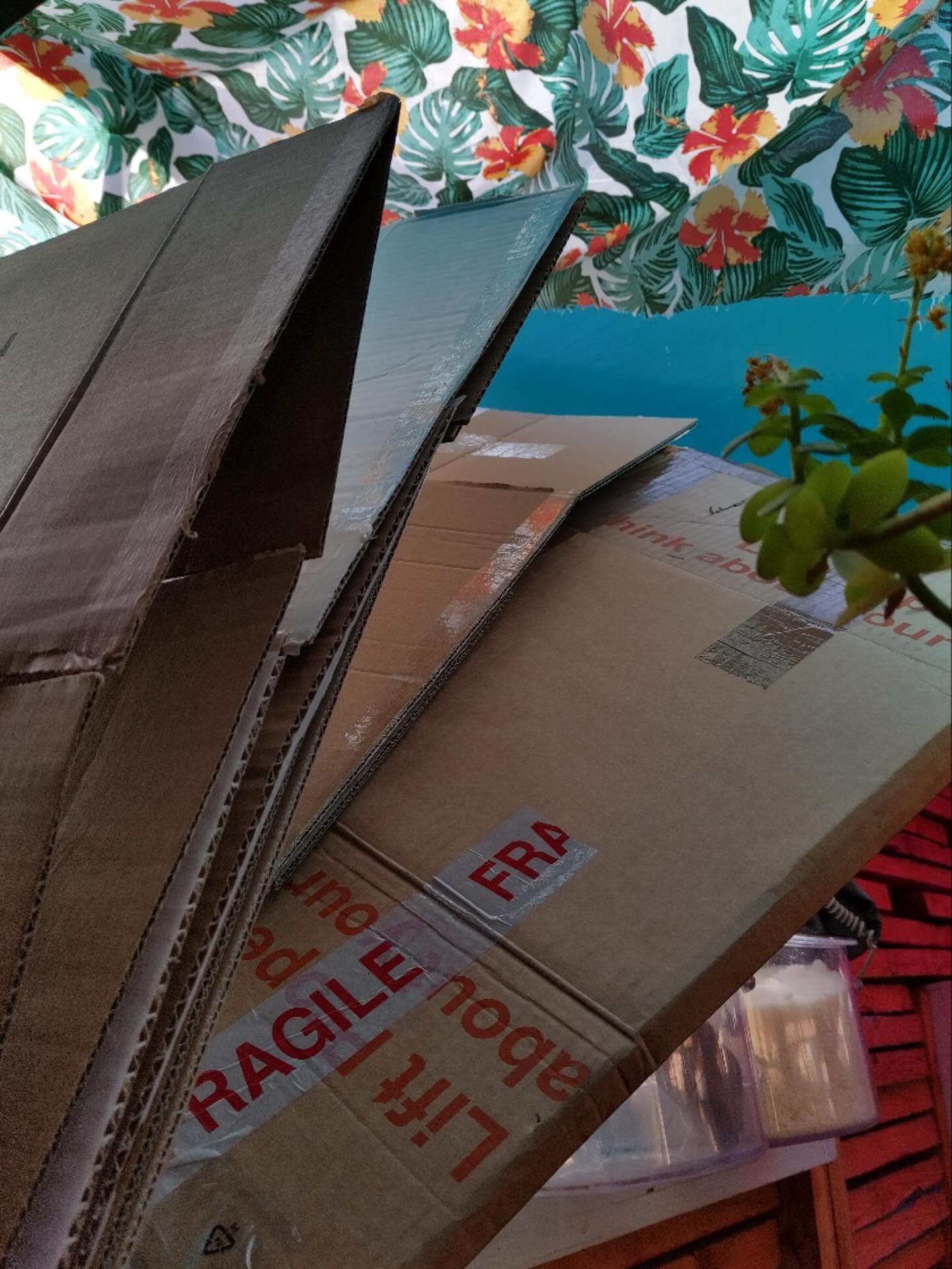 Do you need boxes? Storage, moving, no dig gardening? Come and collect free boxes (and cardboard for your garden / compost) from Get Loose.
First come first served
No reservations
Best days for boxes are Monday and Wednesday during shop opening hours