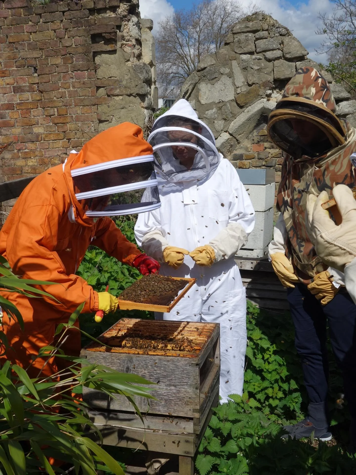 New producer spotlight all about @pearlyqueenhoney 🐝🍯
They make the wildly popular borough specific honeys, we stock Hackney, Finsbury Park &amp; Walthamstow options. 
Lots of people buying these to help their hayfever.
See link in bio 👆

#rawhone