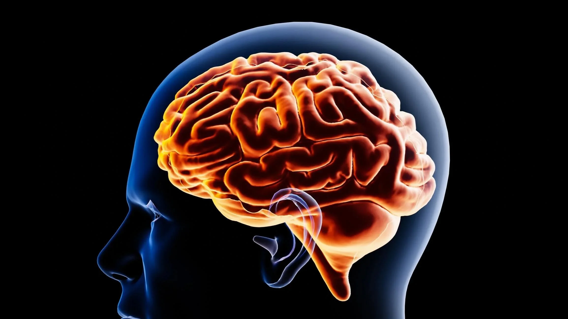 Did you know shopping at Get Loose can improve your brain health? 
We explore the scientific evidence, and foods we stock, that support brain health in our blog post. 
Plus suggesting some small changes that could make a big difference.
See link in b