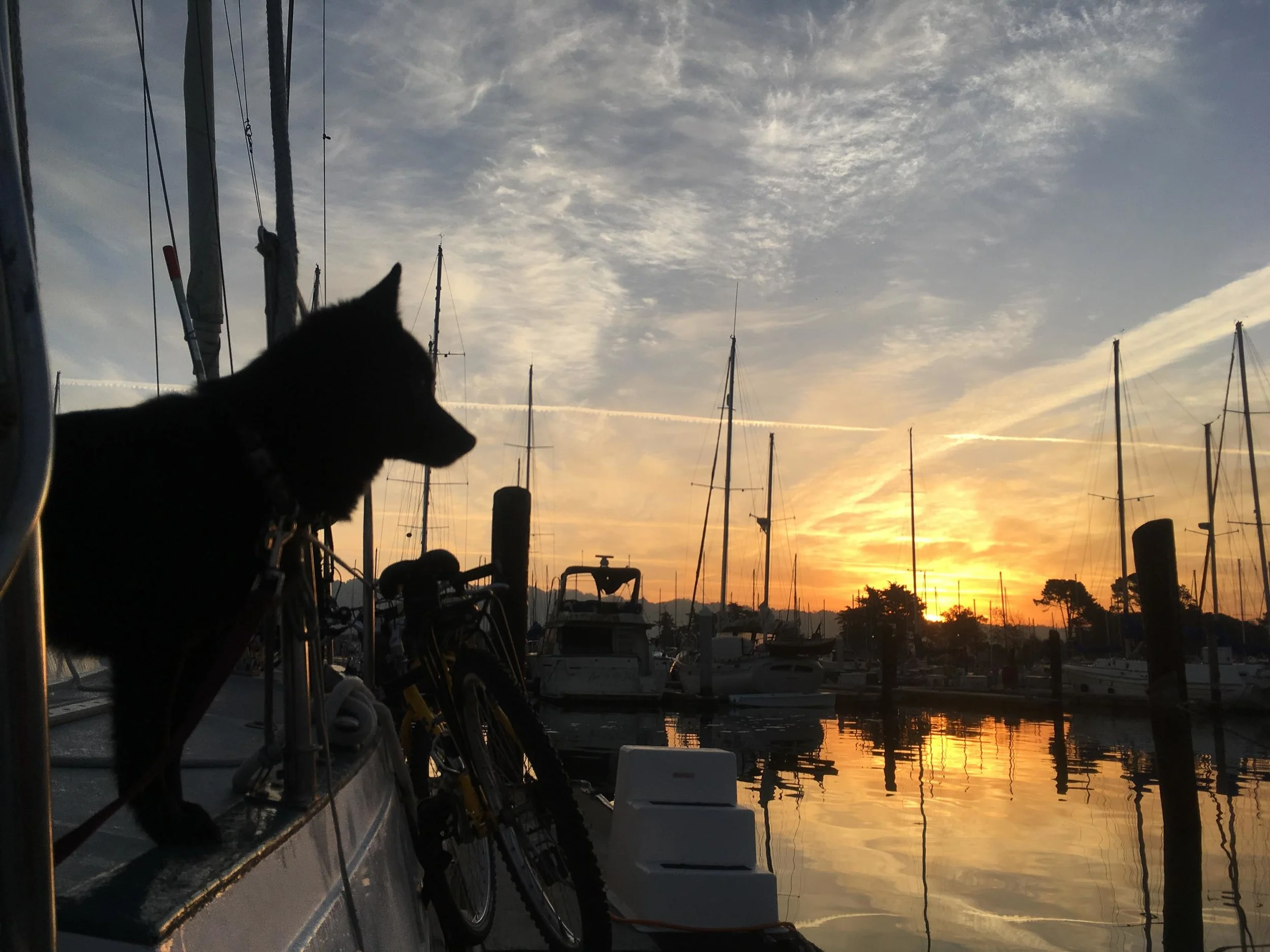 Misty_FireSunriseHope_2546.jpg
