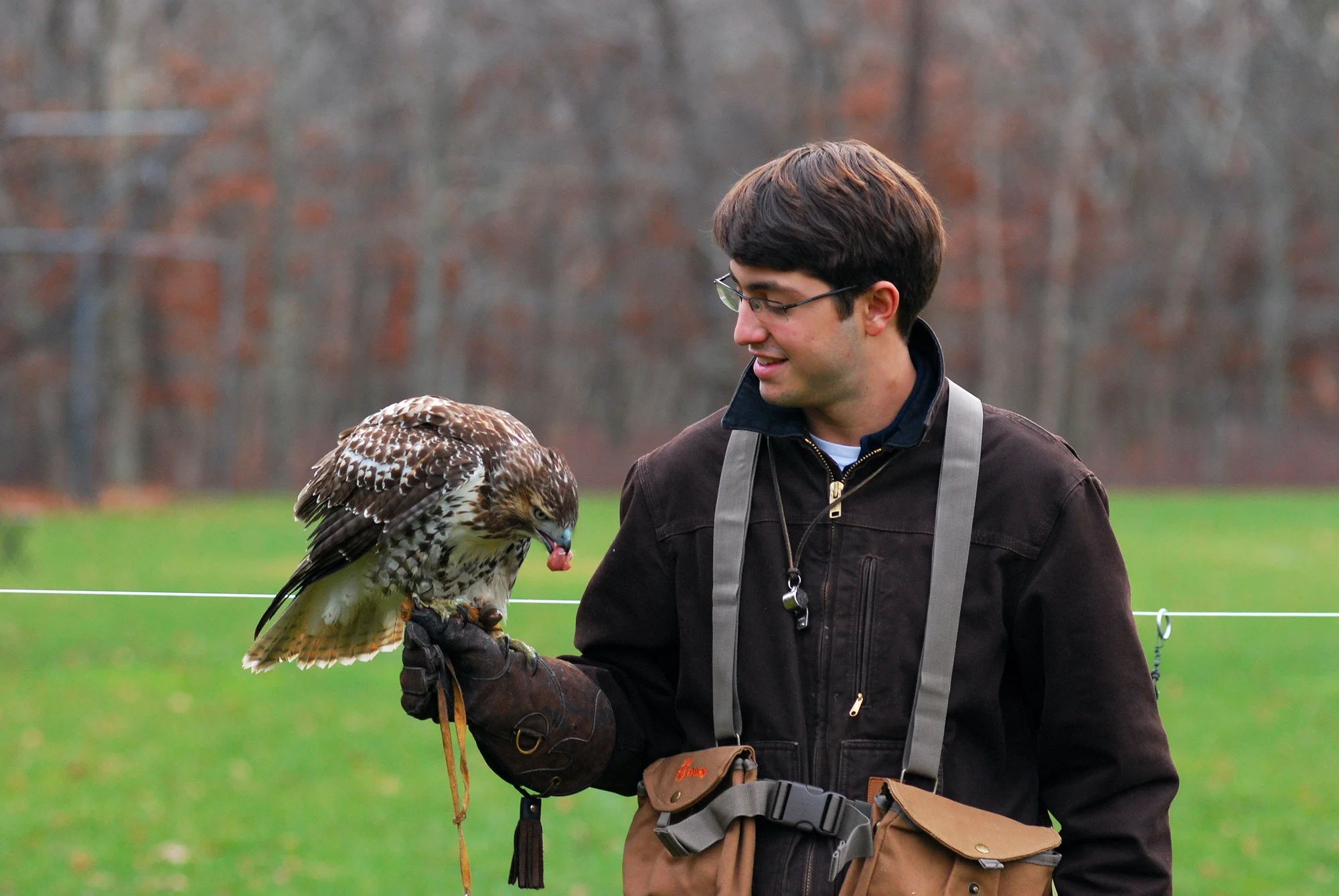 Samuel Kramer '13 with a red-tailed hawk he trained for his Senior Project on falconry