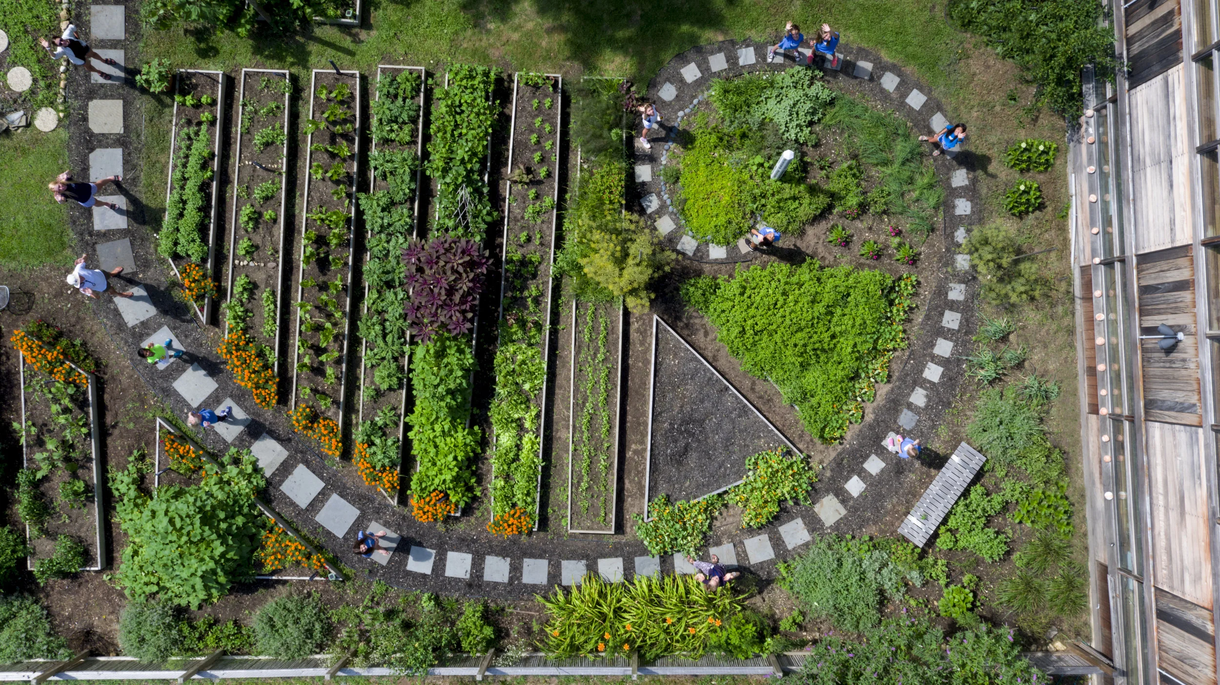 Ross School’s Spiral Garden offers hands-on learning opportunities for students and is a source of fresh produce for the Caf é . Photo by Olga Goworek, 2018